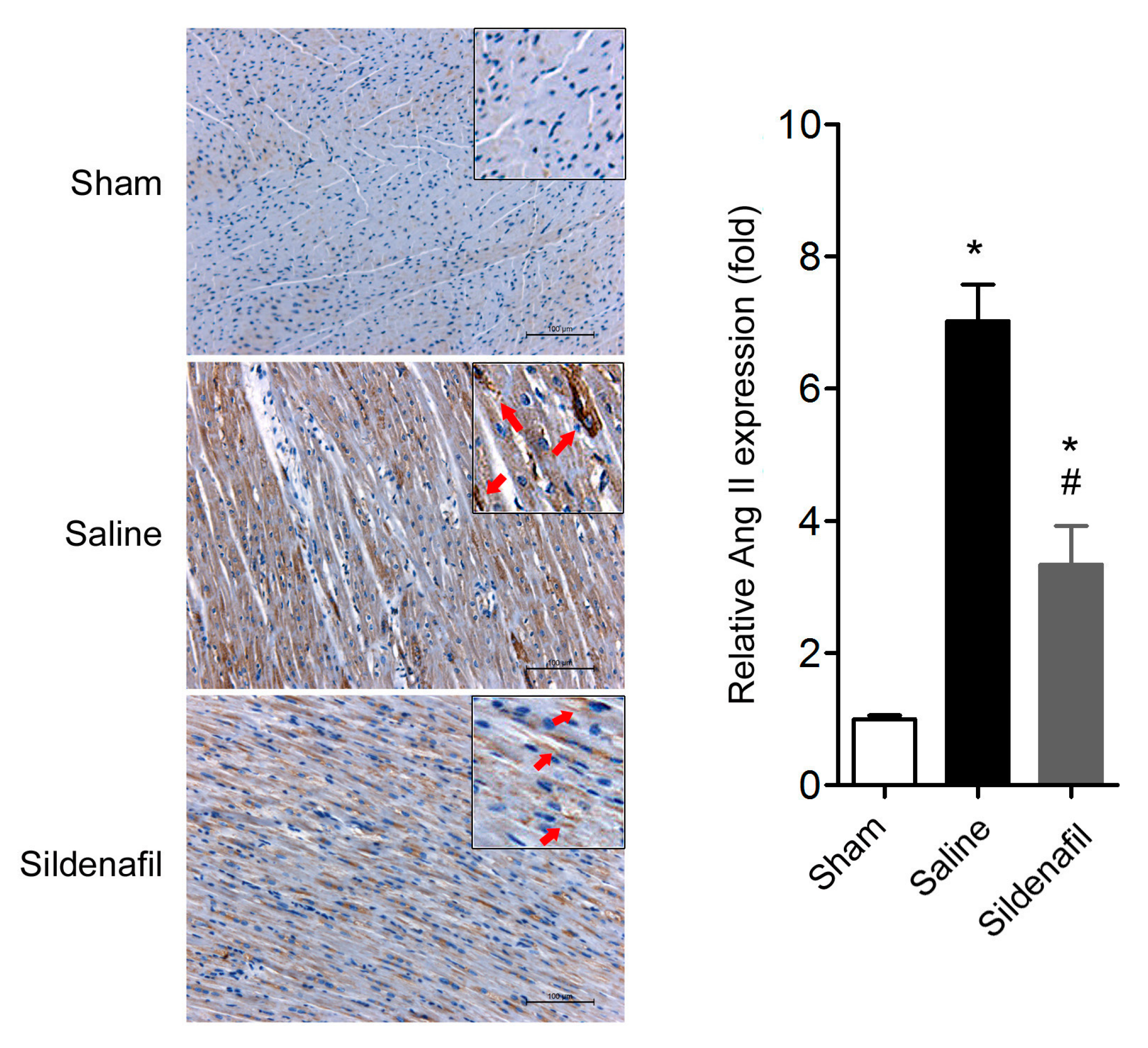 Ijms 16 26010 g005 1024