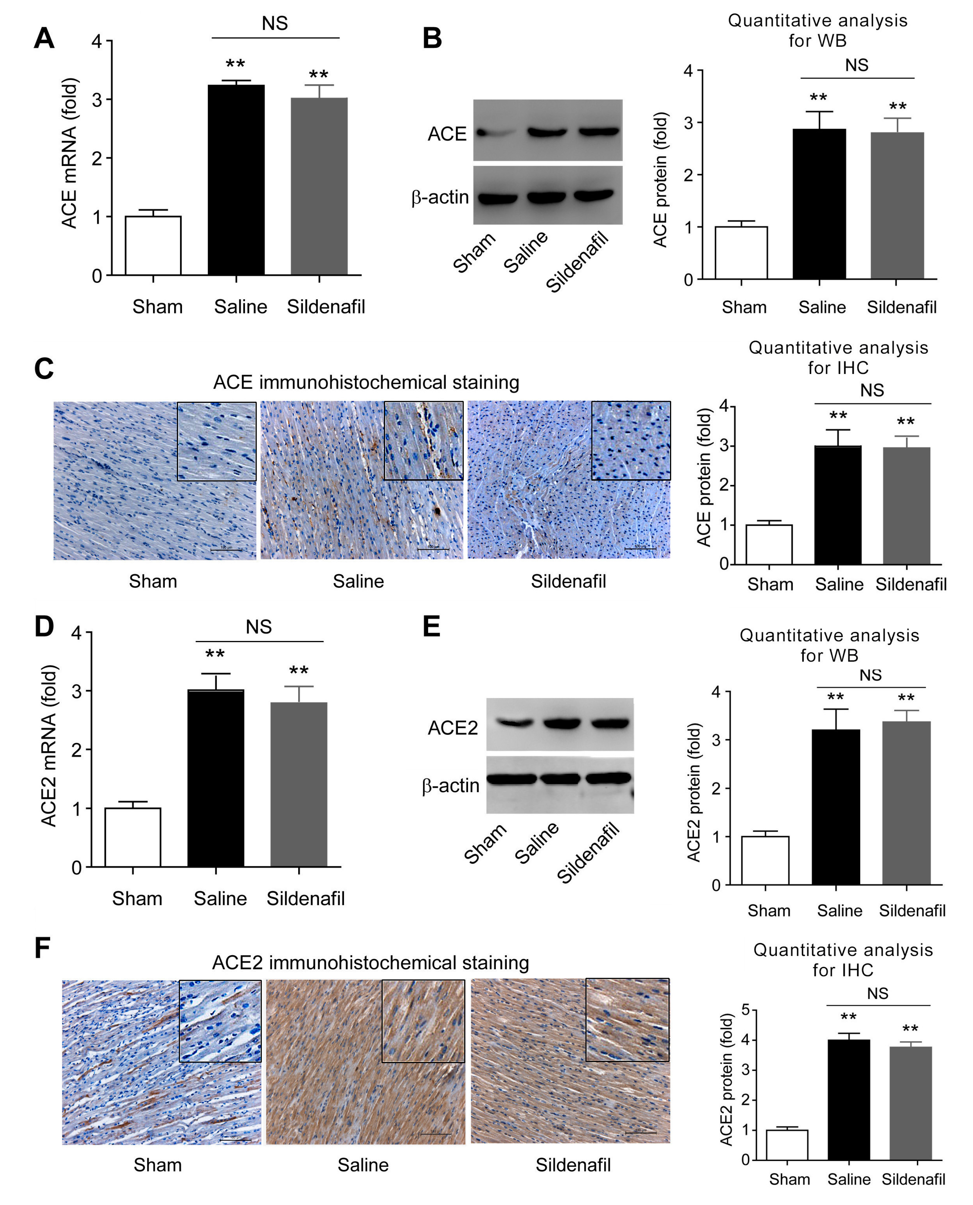 Ijms 16 26010 g006 1024