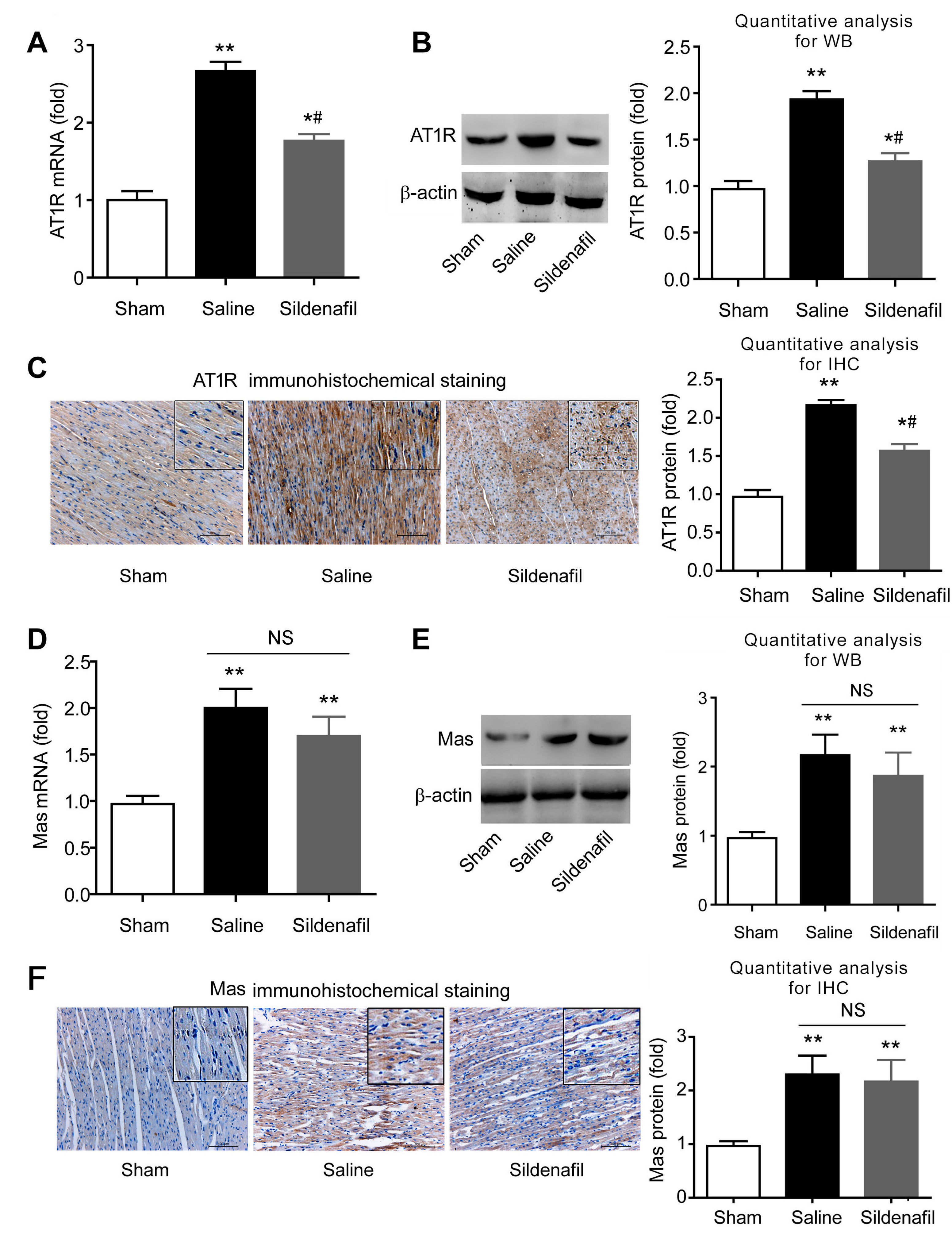 Ijms 16 26010 g007 1024