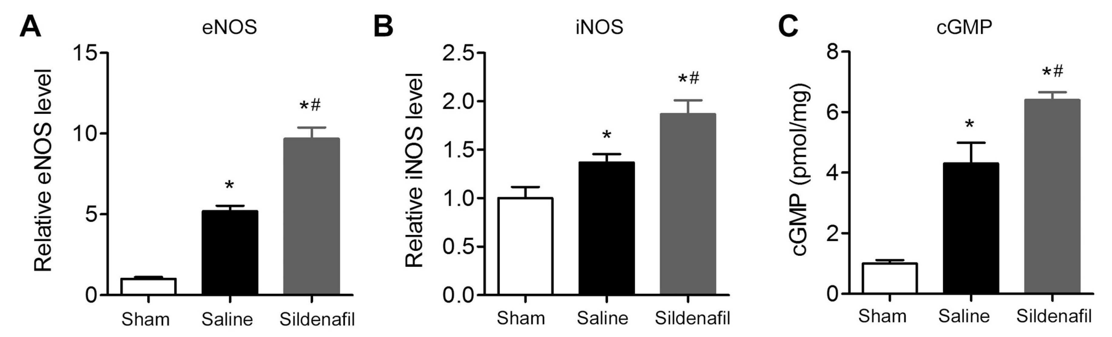Ijms 16 26010 g008 1024