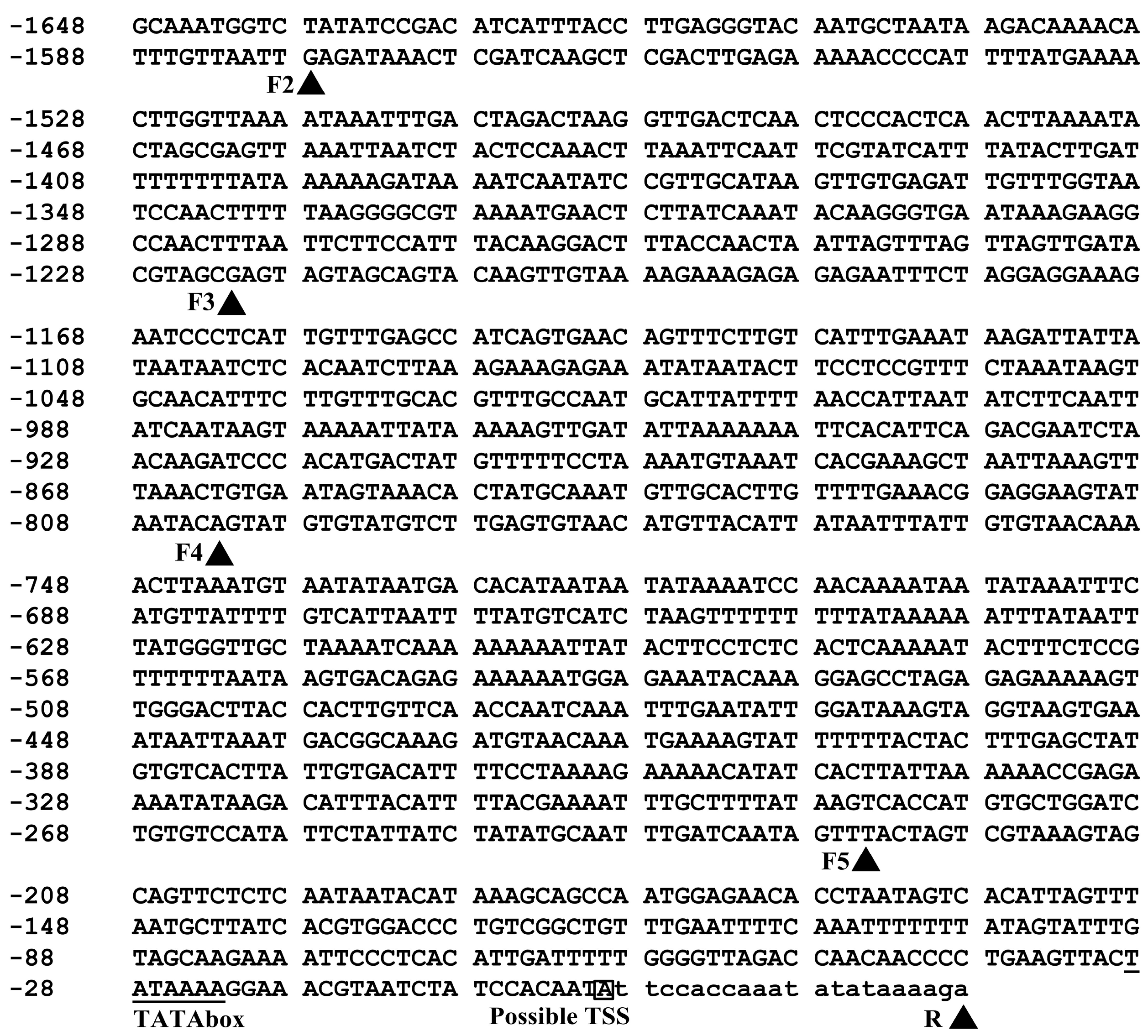 Ijms 16 26011 g001 1024