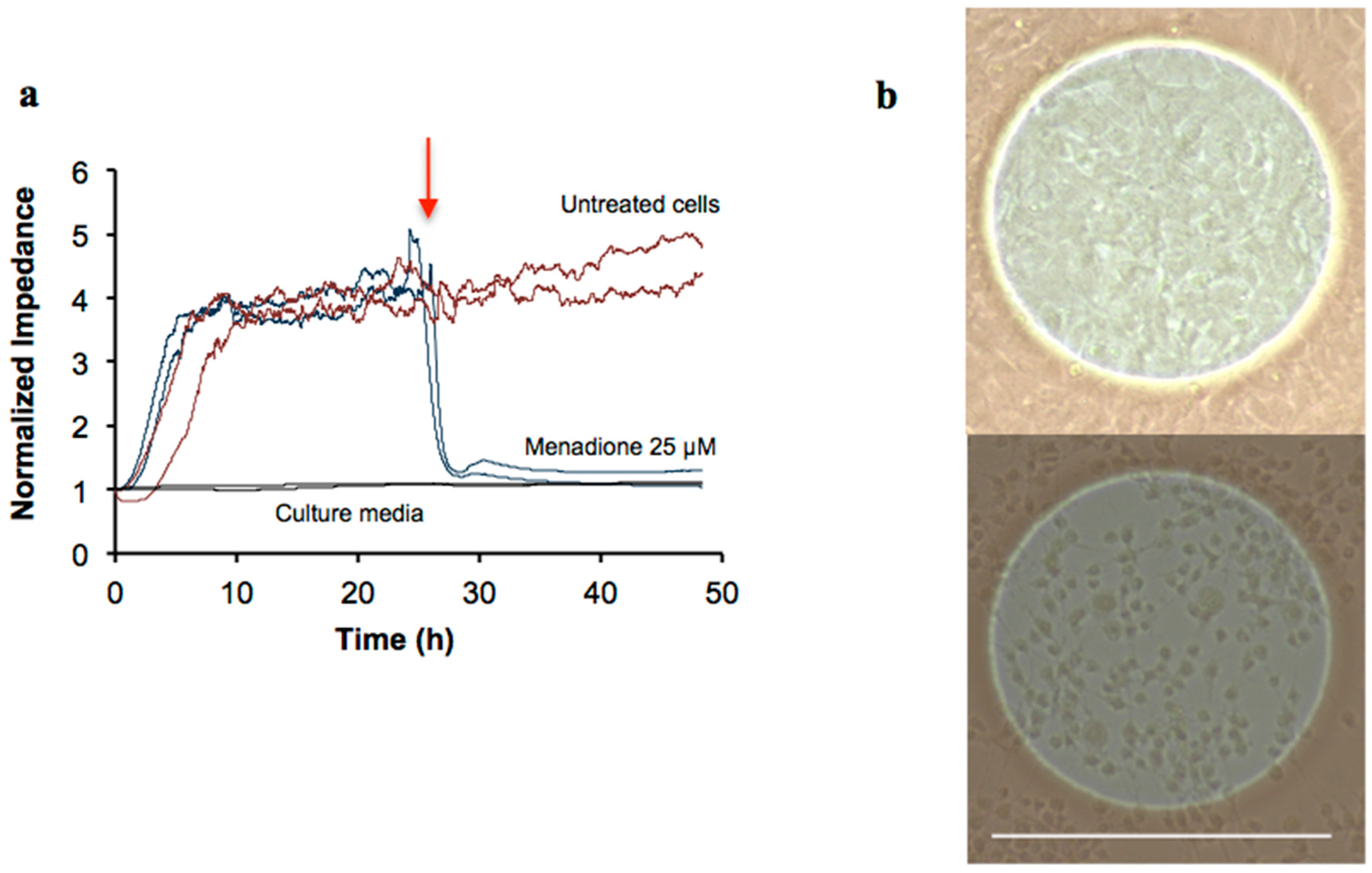 Ijms 16 26014 g001 1024