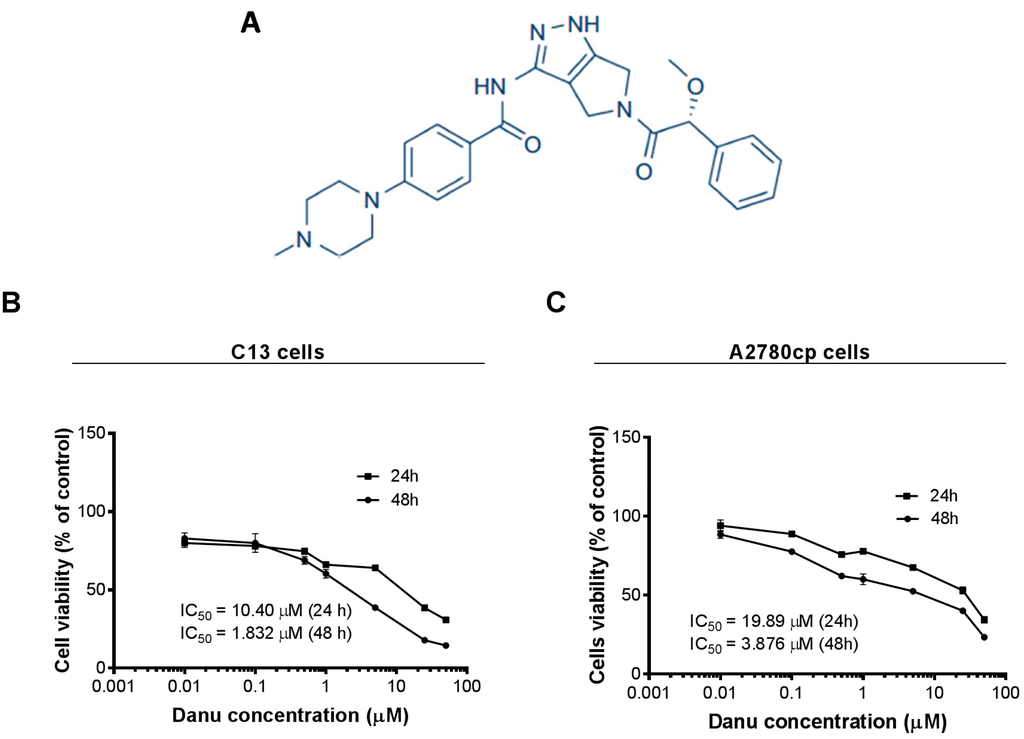 【激安】 in Pathway  Signaling PI3K/Akt/mTOR Involving Transition Mesenchymal to Epithelial  Inhibits but Autophagy and Arrest, Cycle Cell Apoptosis, Induces Danusertib Human Cells Cancer Ovarian ヴァイスシュヴァルツ