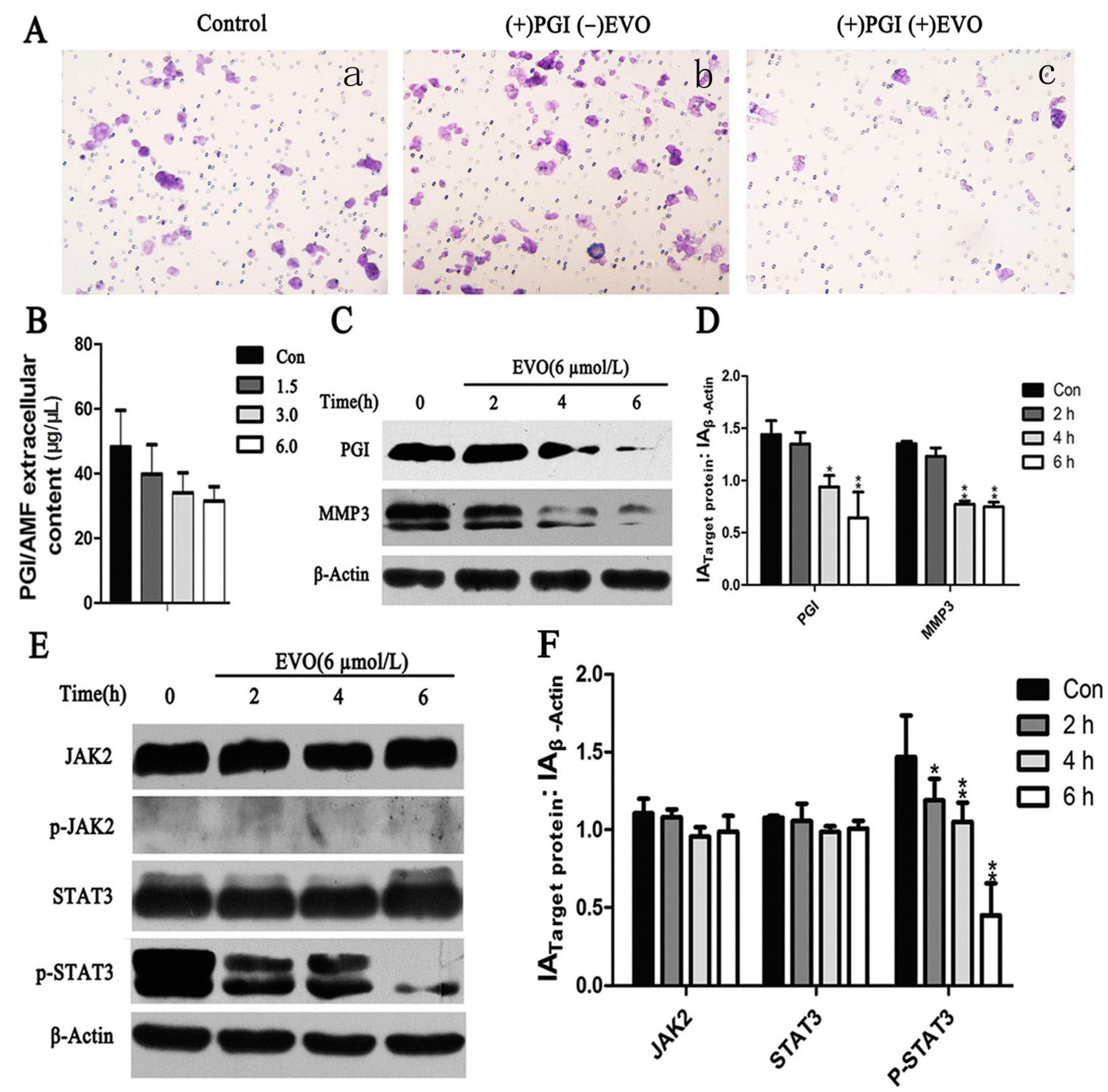 Ijms 16 26031 g003 1024
