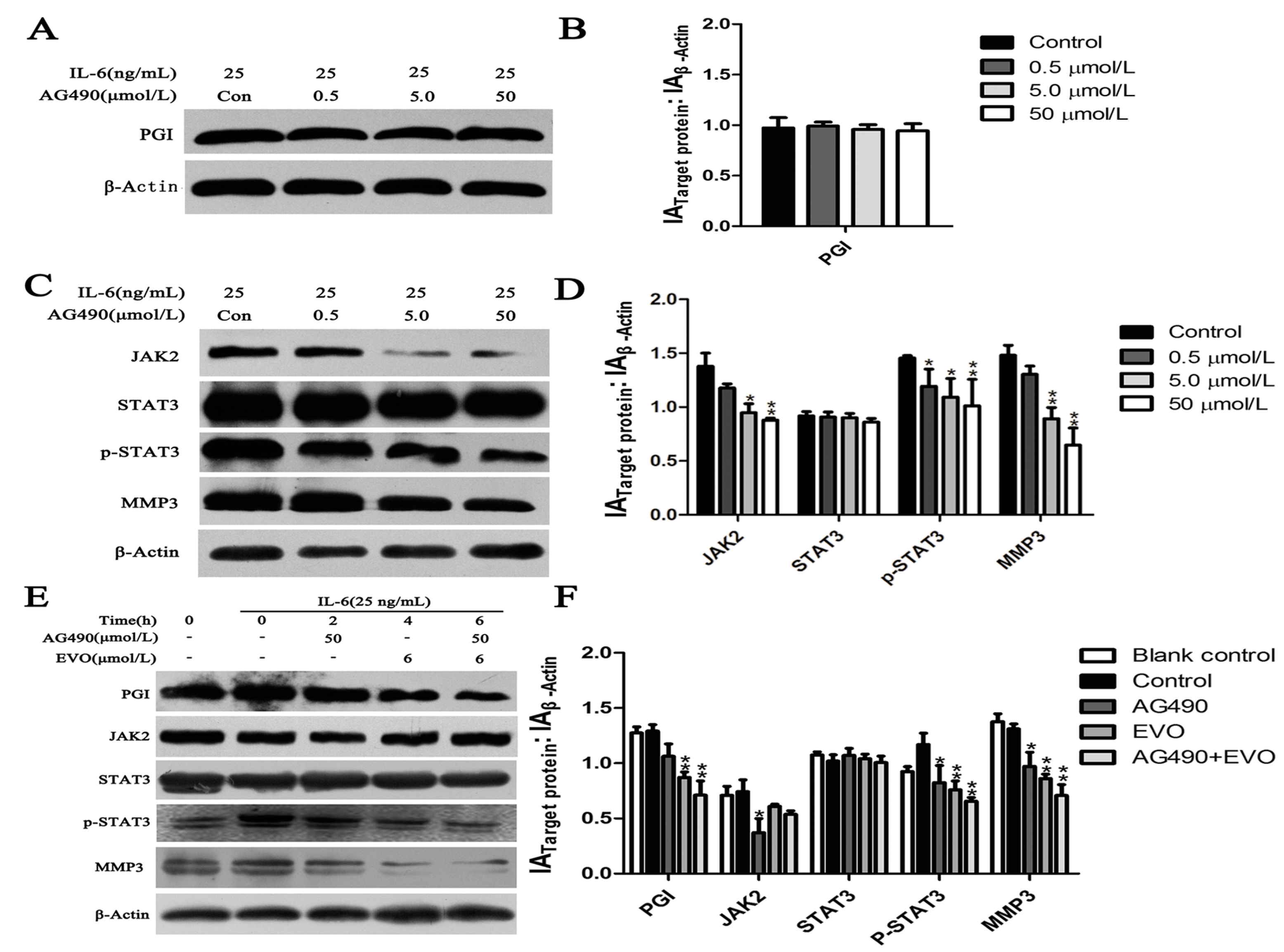 Ijms 16 26031 g004 1024