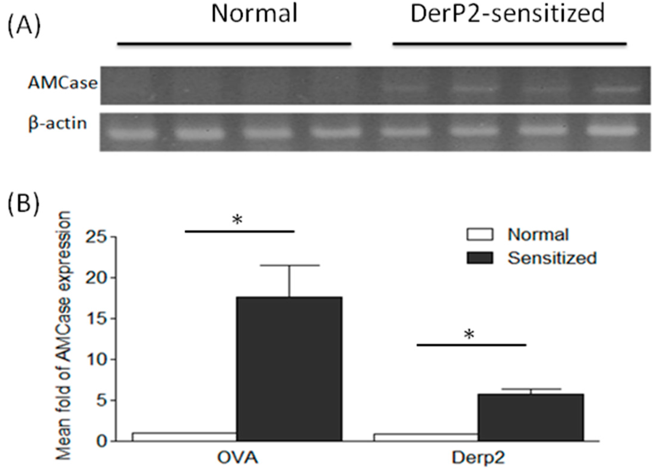 Ijms 16 26033 g001 1024