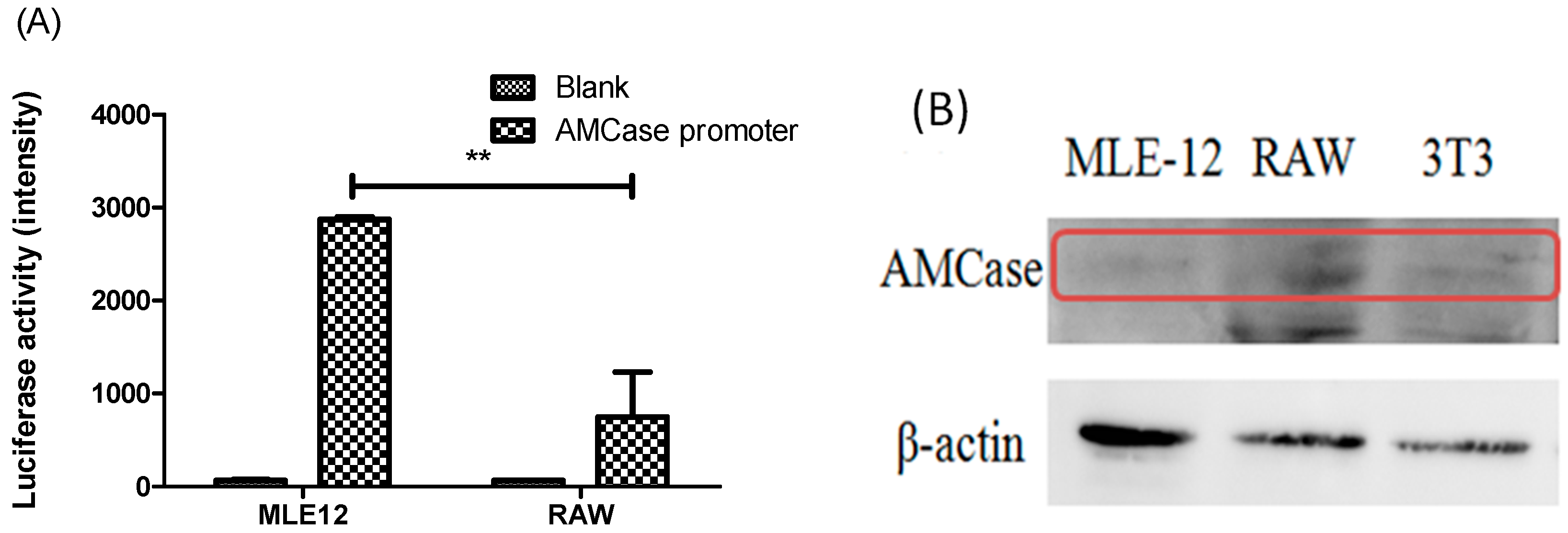 Ijms 16 26033 g002 1024