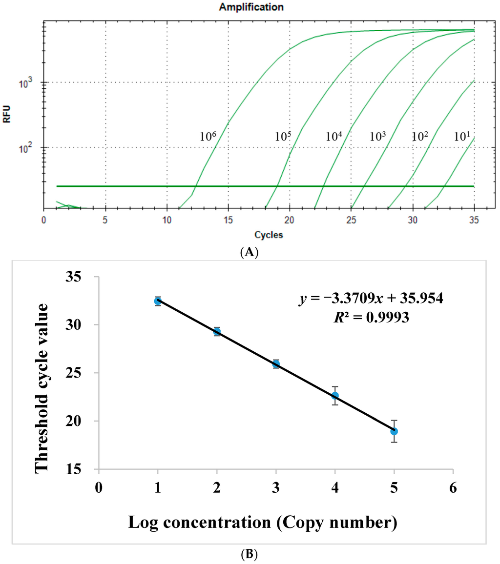 IJMS Free FullText A Quantitative RealTime PCRBased Strategy for