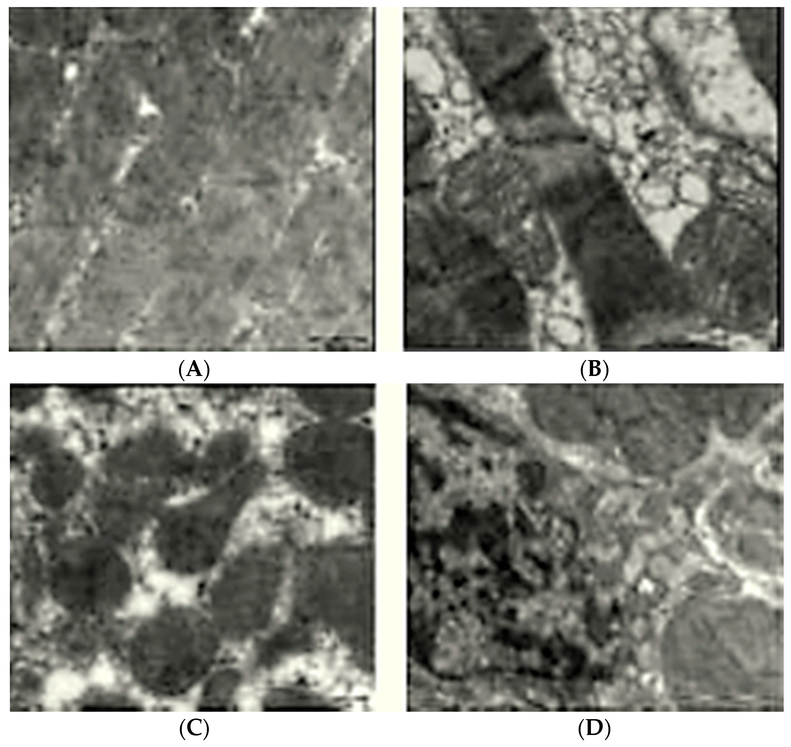 Ijms 16 26040 g003