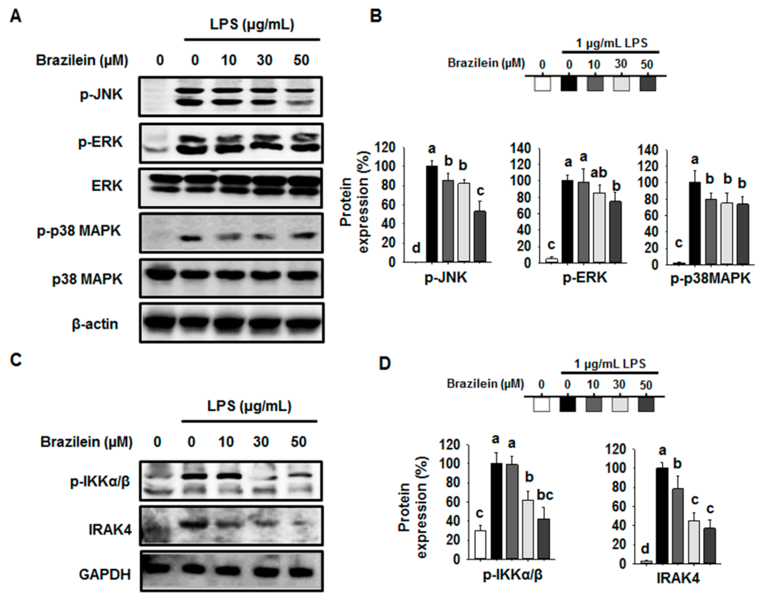 Ijms 16 26048 g005 1024