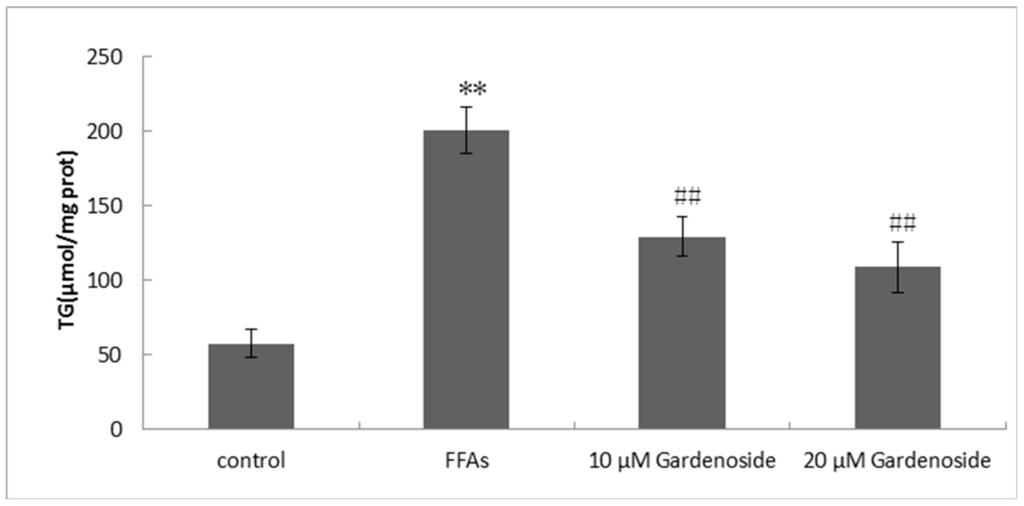 Inhibitory Effect of Gardenoside on Free Fatty Acid-Induced Inhibitory Effect of Gardenoside on Free Fatty Acid-Induced