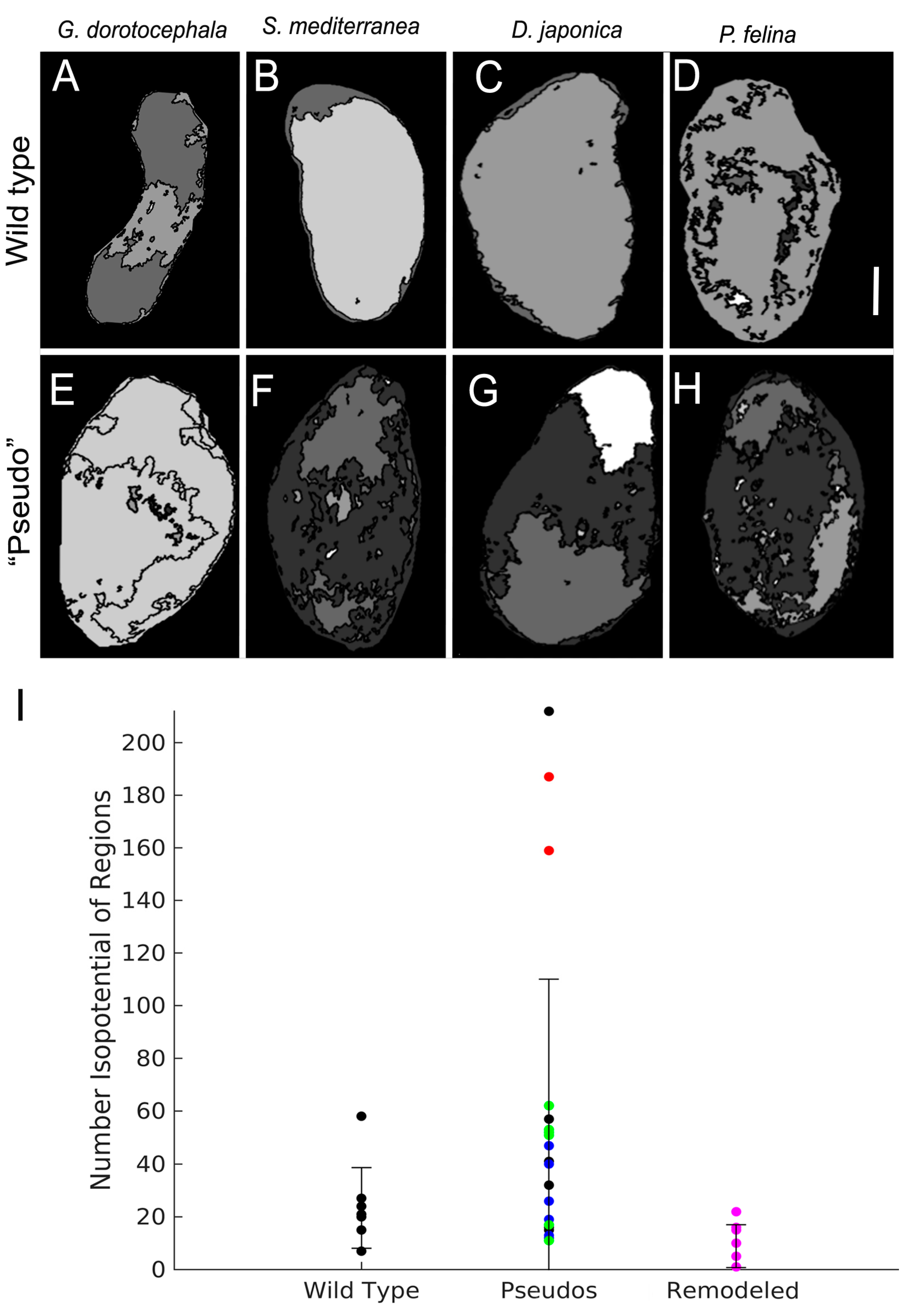 Ijms 16 26065 g006