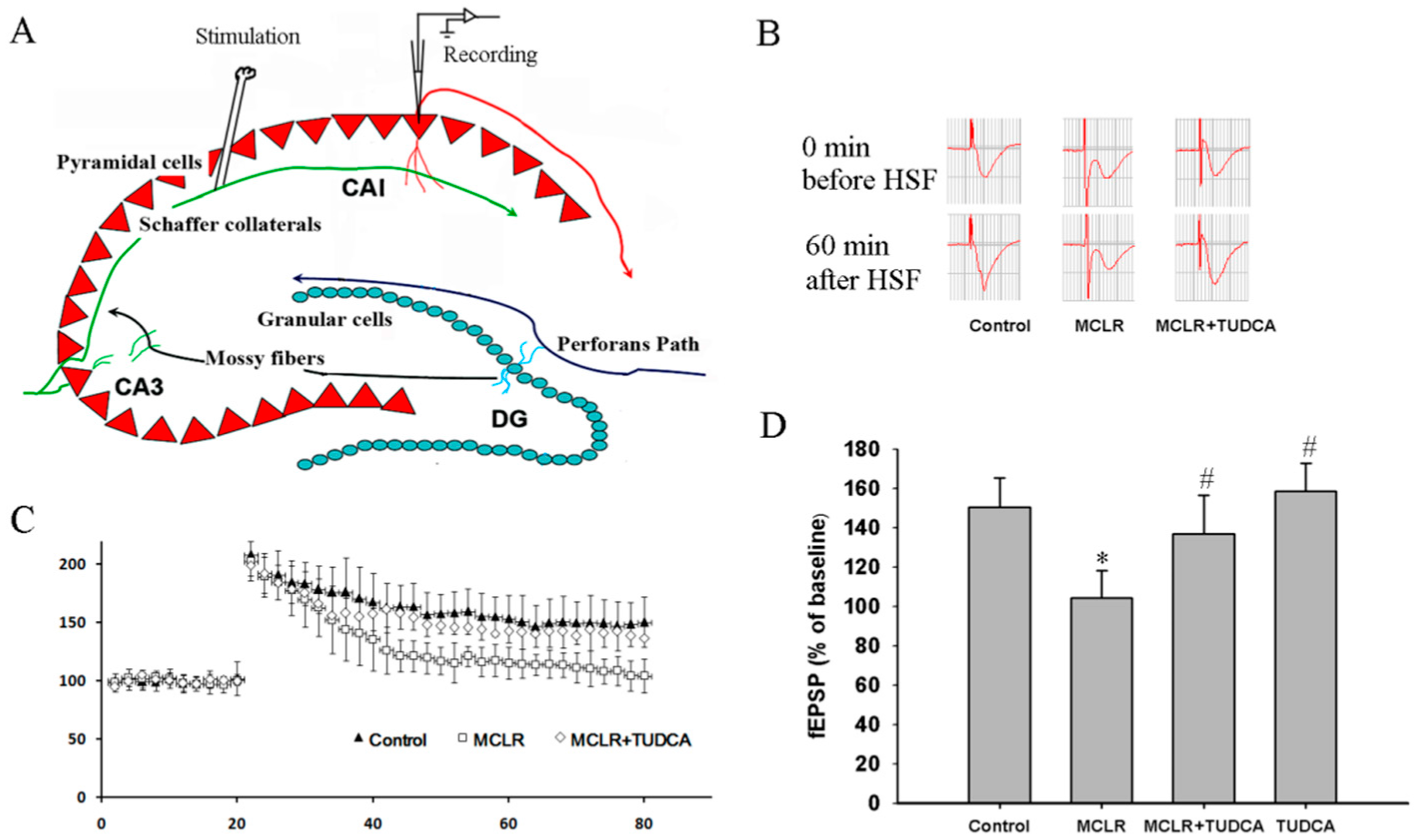 Ijms 16 26083 g002 1024
