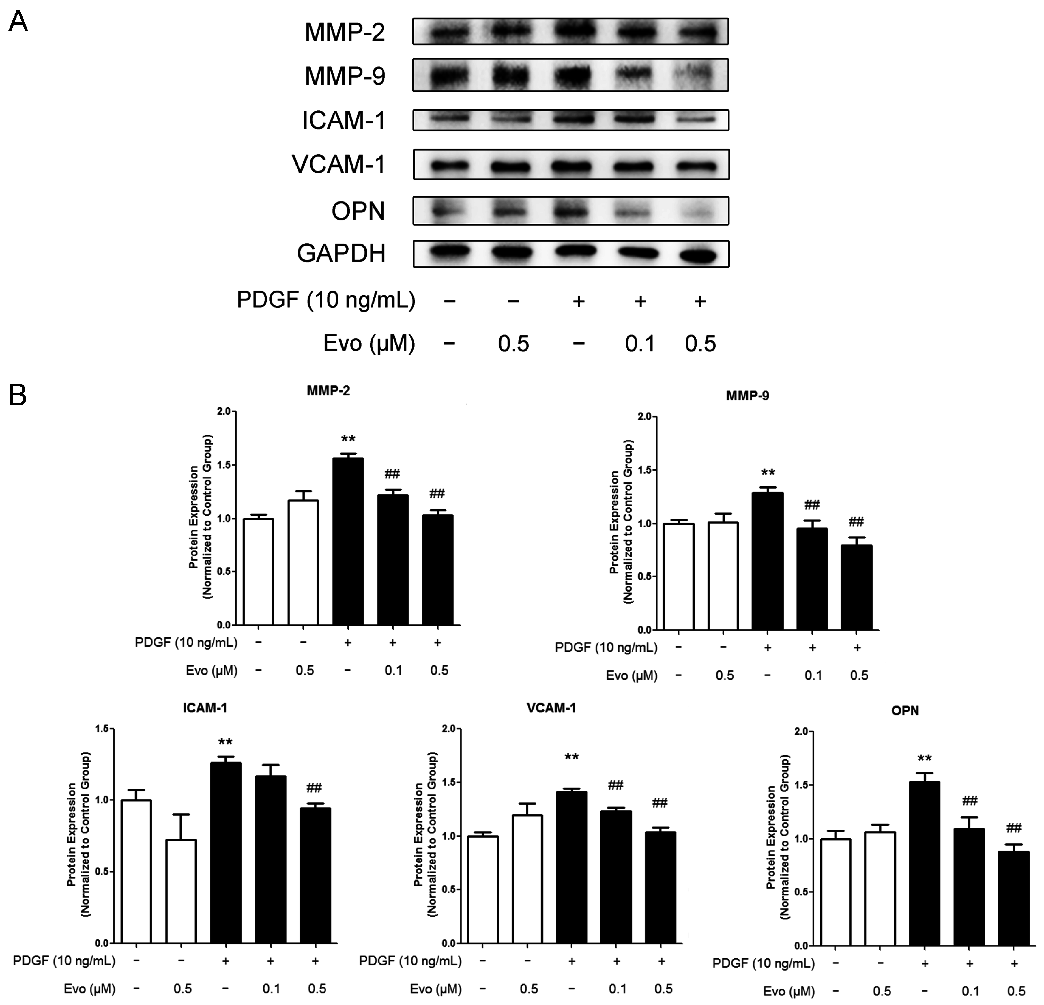 Ijms 16 26093 g002a 1024