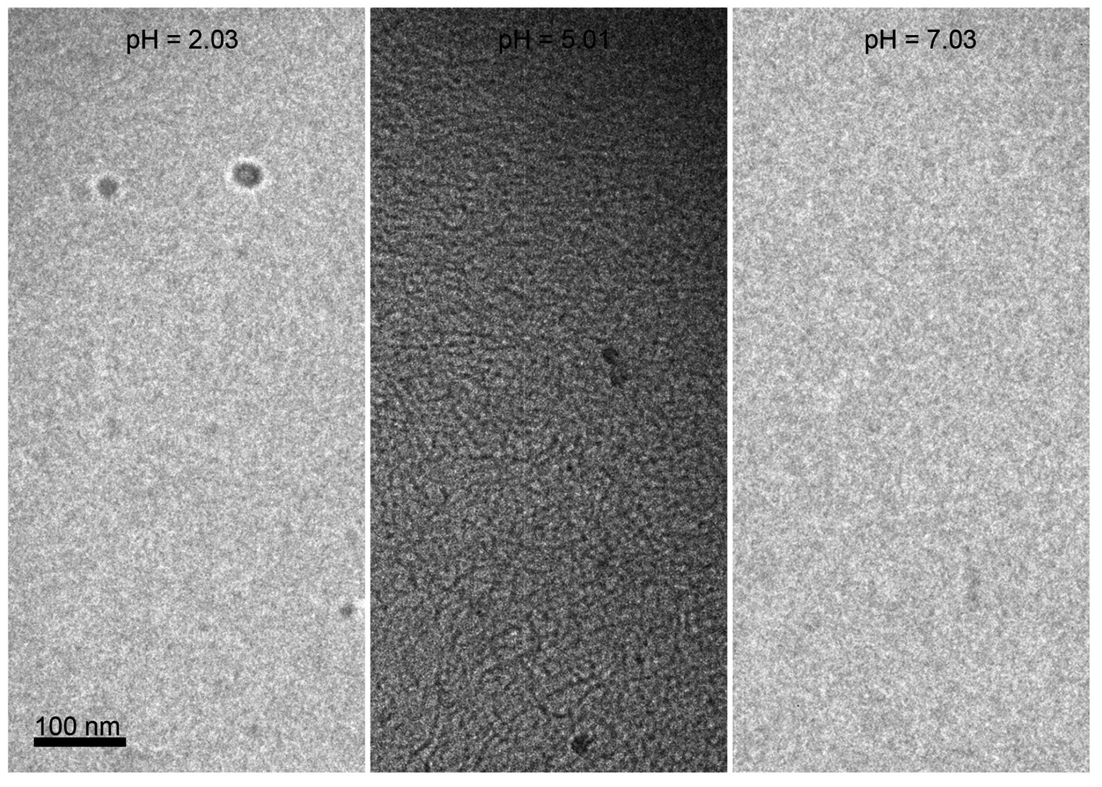 Ijms 16 26096 g006 1024