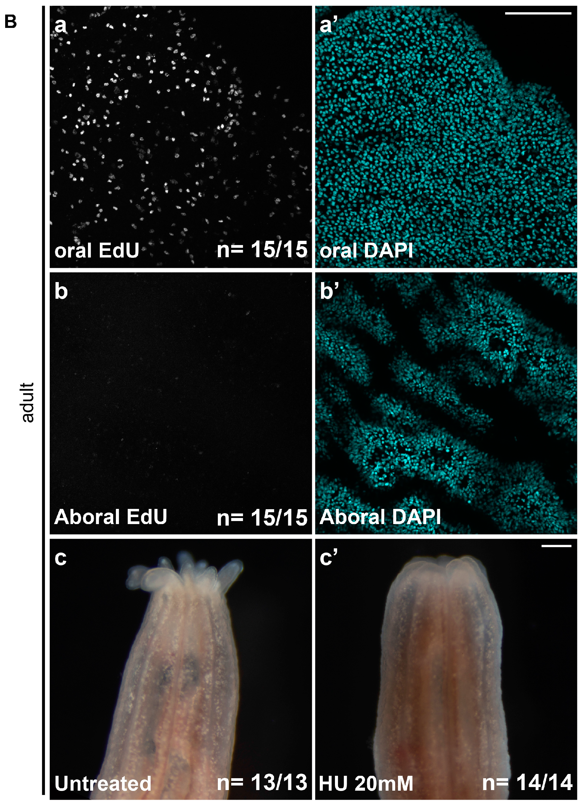 Ijms 16 26100 g003b 1024