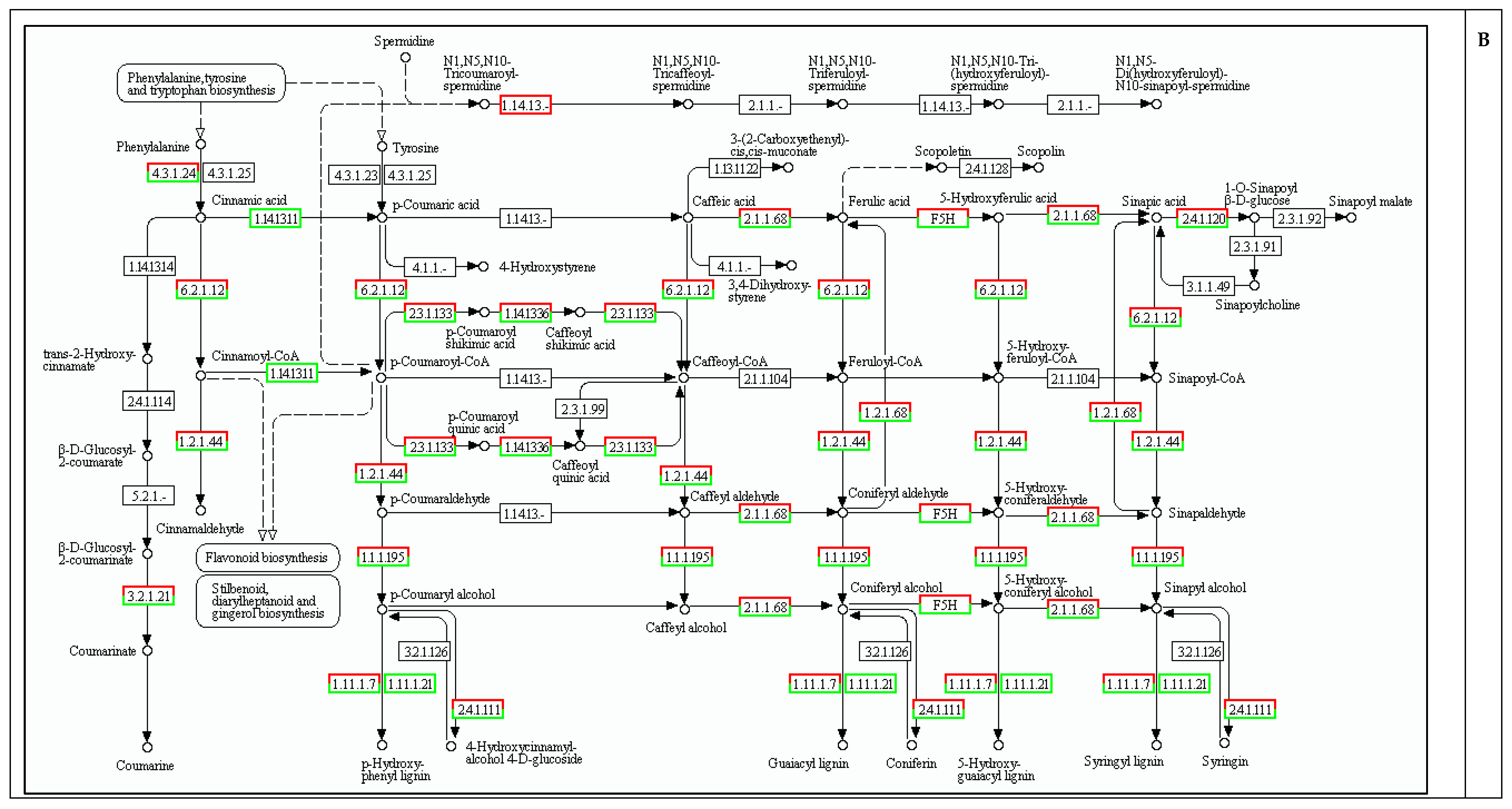 Ijms 16 26117 g005b 1024