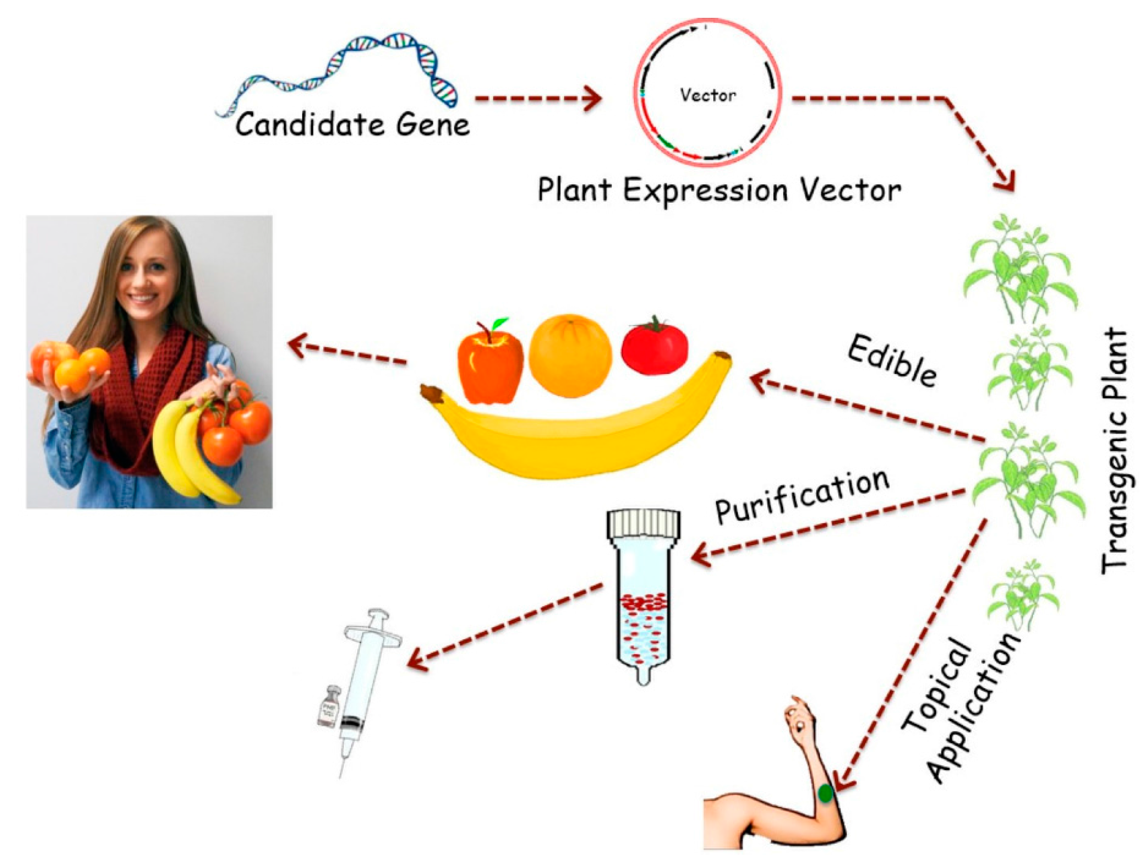IJMS | Free Full-Text | Plants as Factories for Human Pharmaceuticals: Applications ...2253 x 1696
