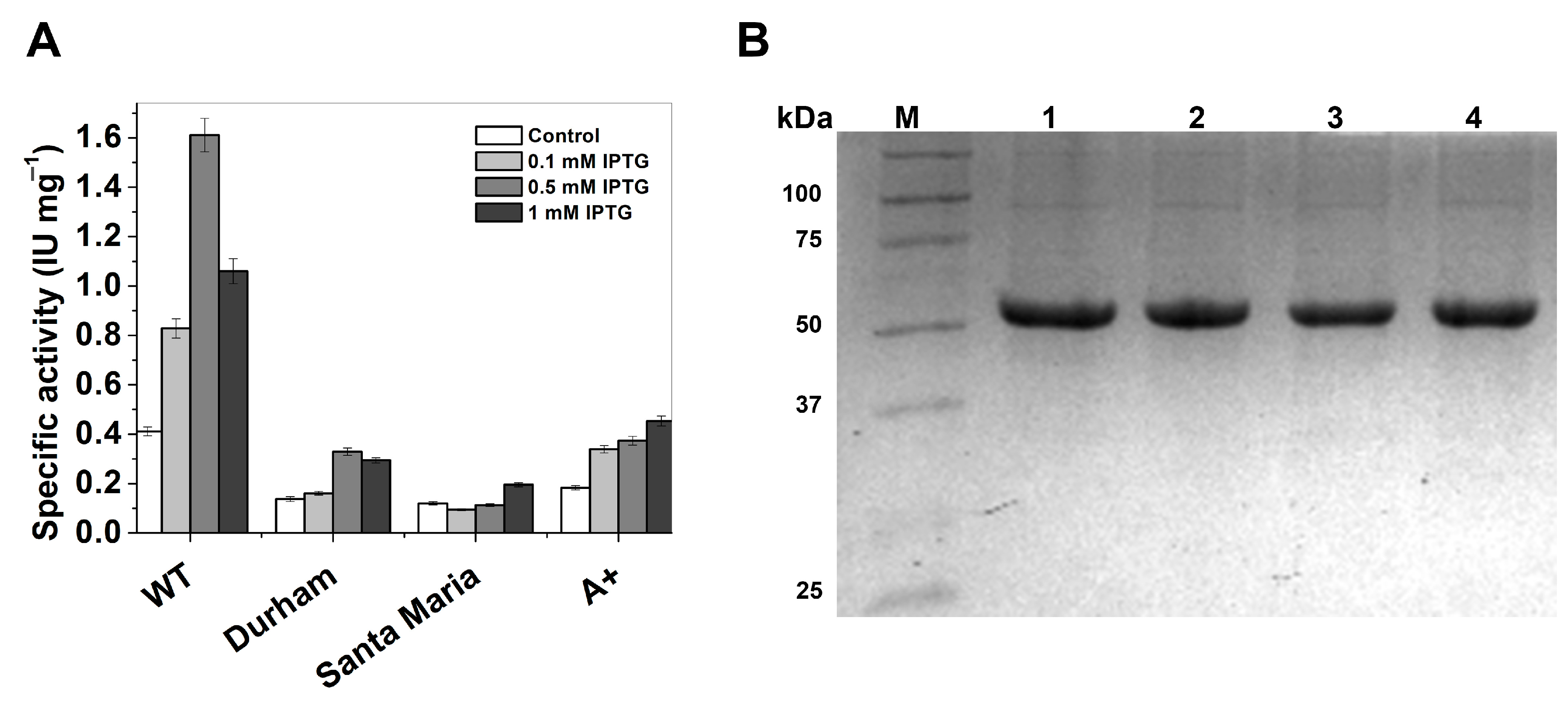 Ijms 16 26124 g002
