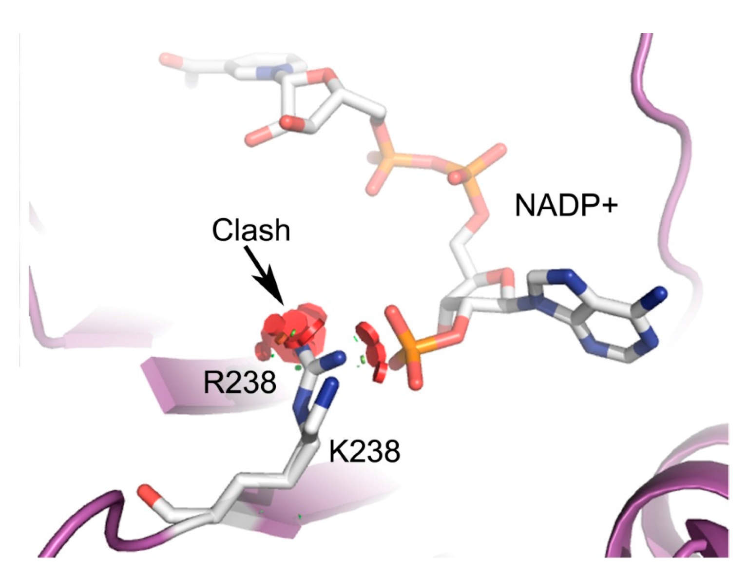 Ijms 16 26124 g007 1024