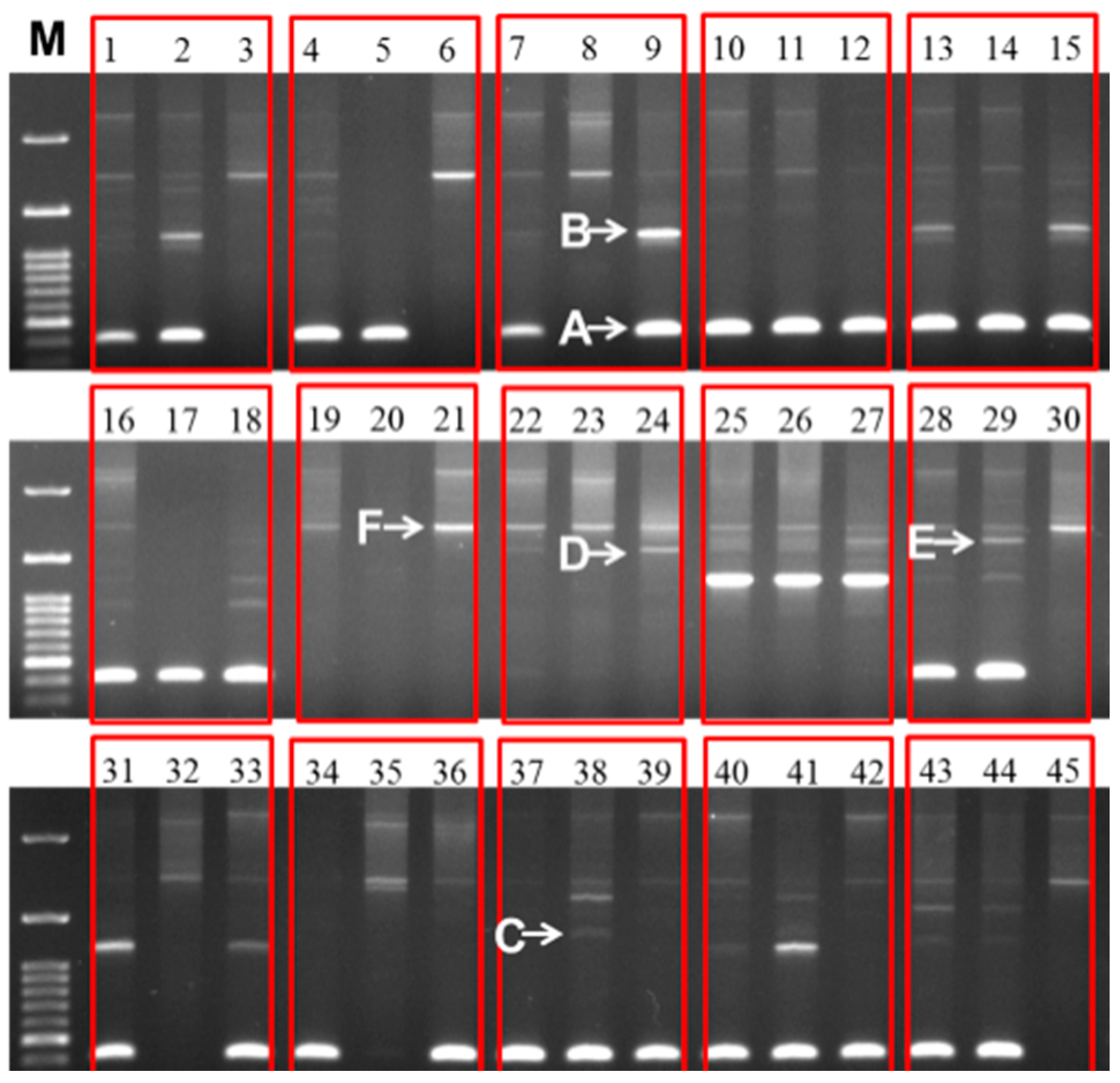 Ijms 16 26125 g005