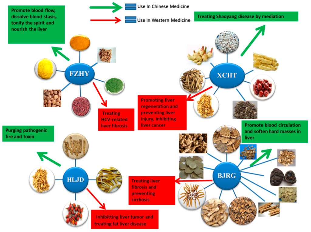 Chinese herbal medicine may improve outcomes after STEMI