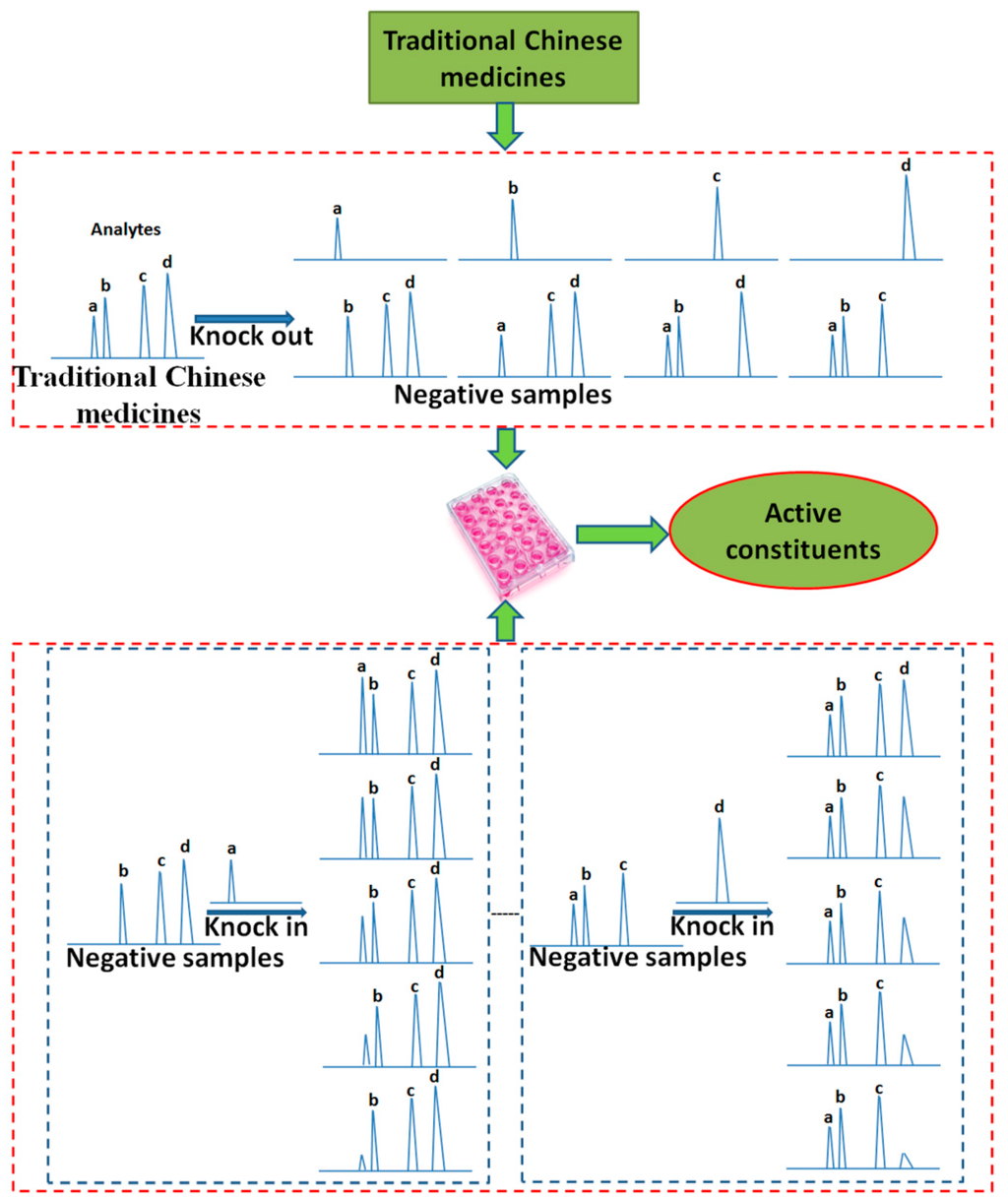 Discovery and Current Status of Evaluation System of