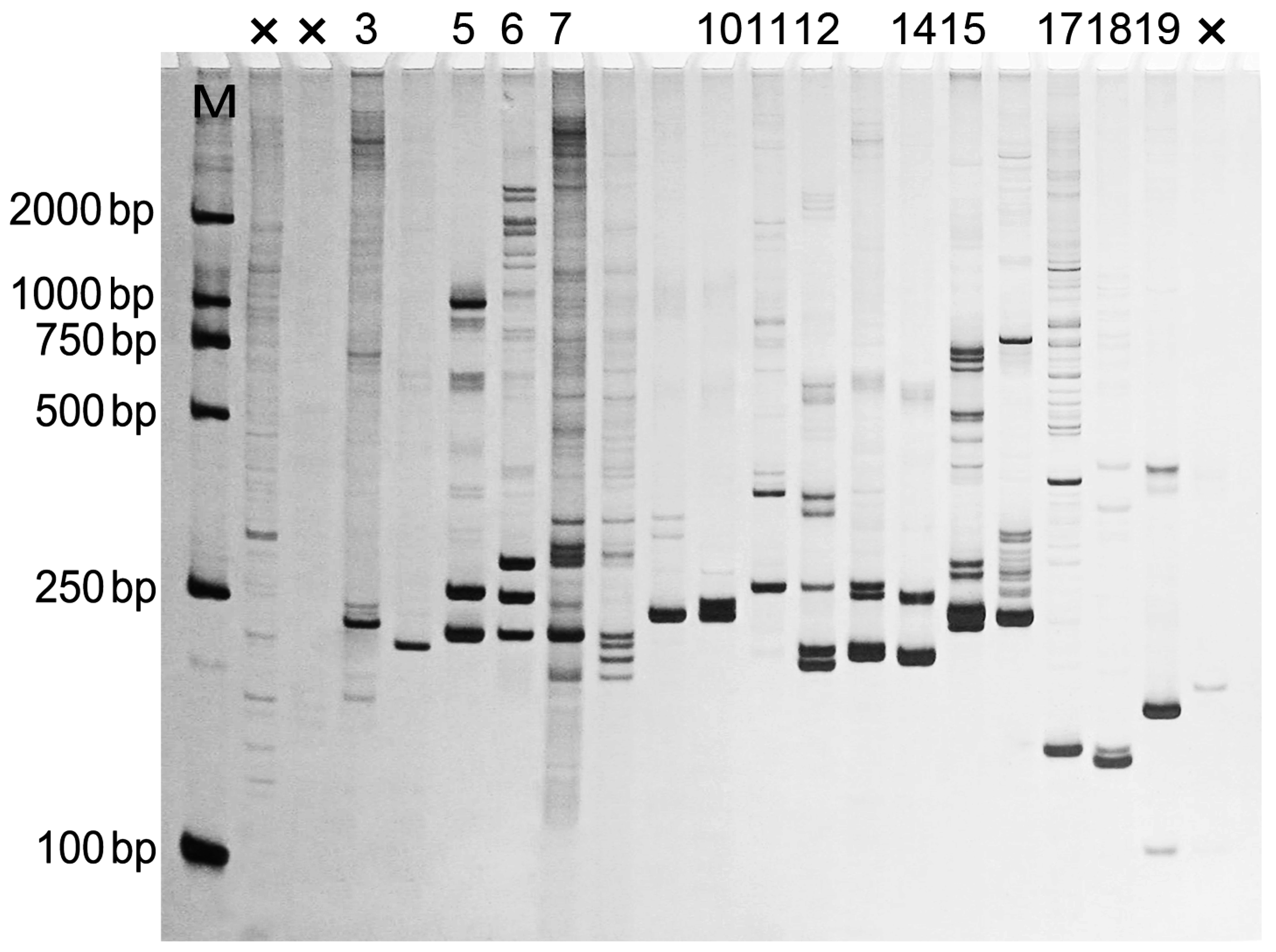 Ijms 16 26139 g006