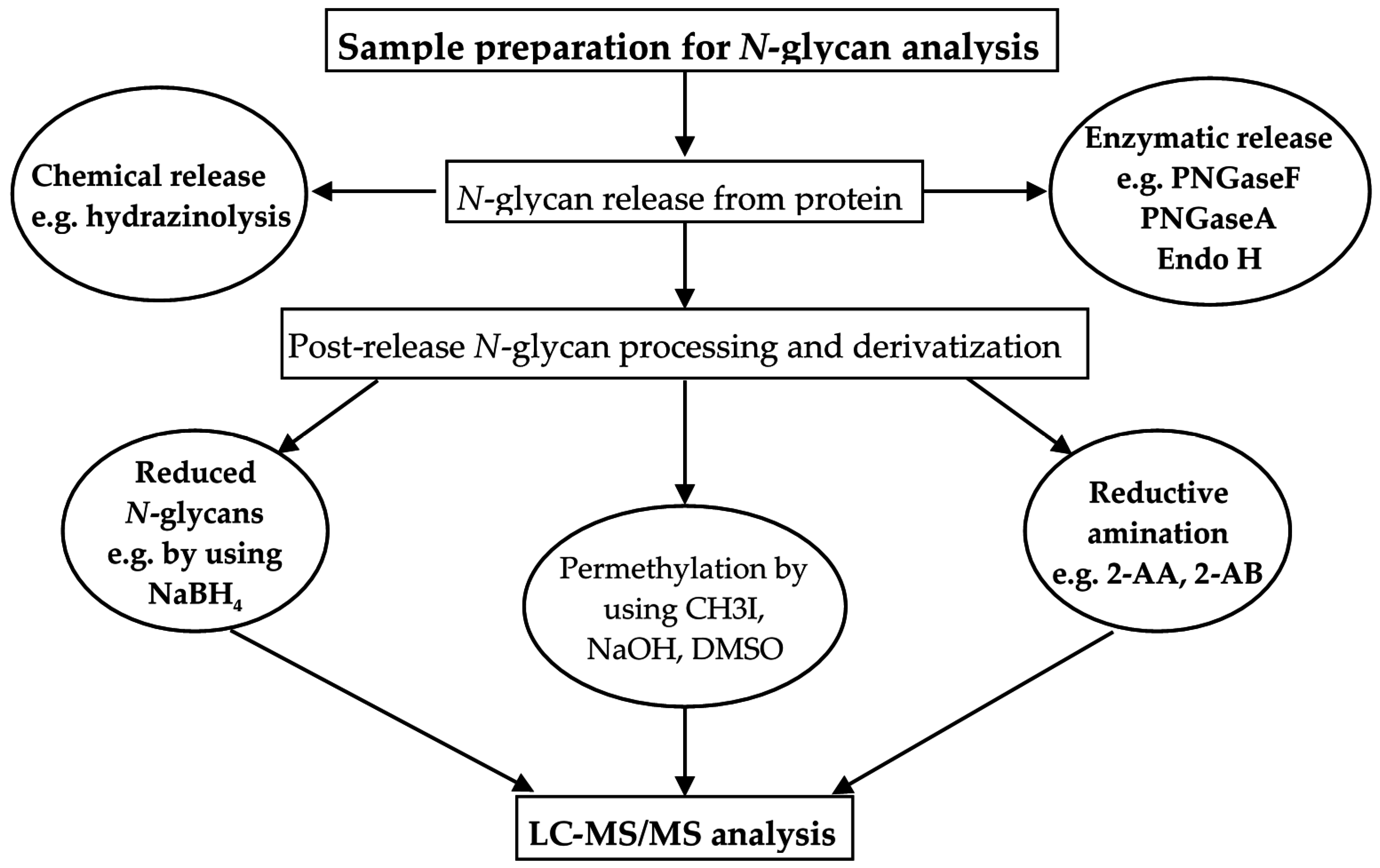 ebook Symplectic Topology and Measure Preserving Dynamical