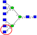 Ijms 16 26165 i009