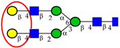 Ijms 16 26165 i015