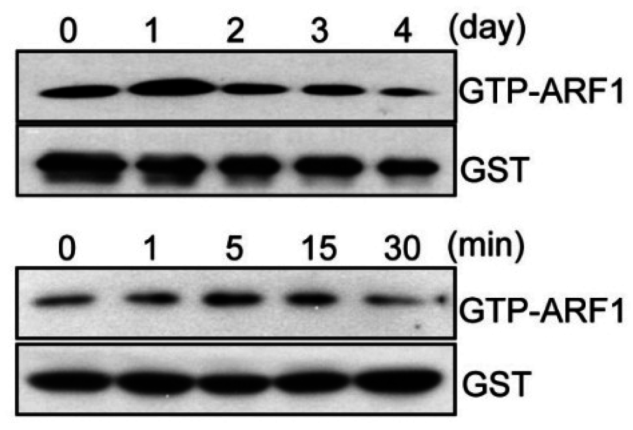 Ijms 16 26168 g001 1024