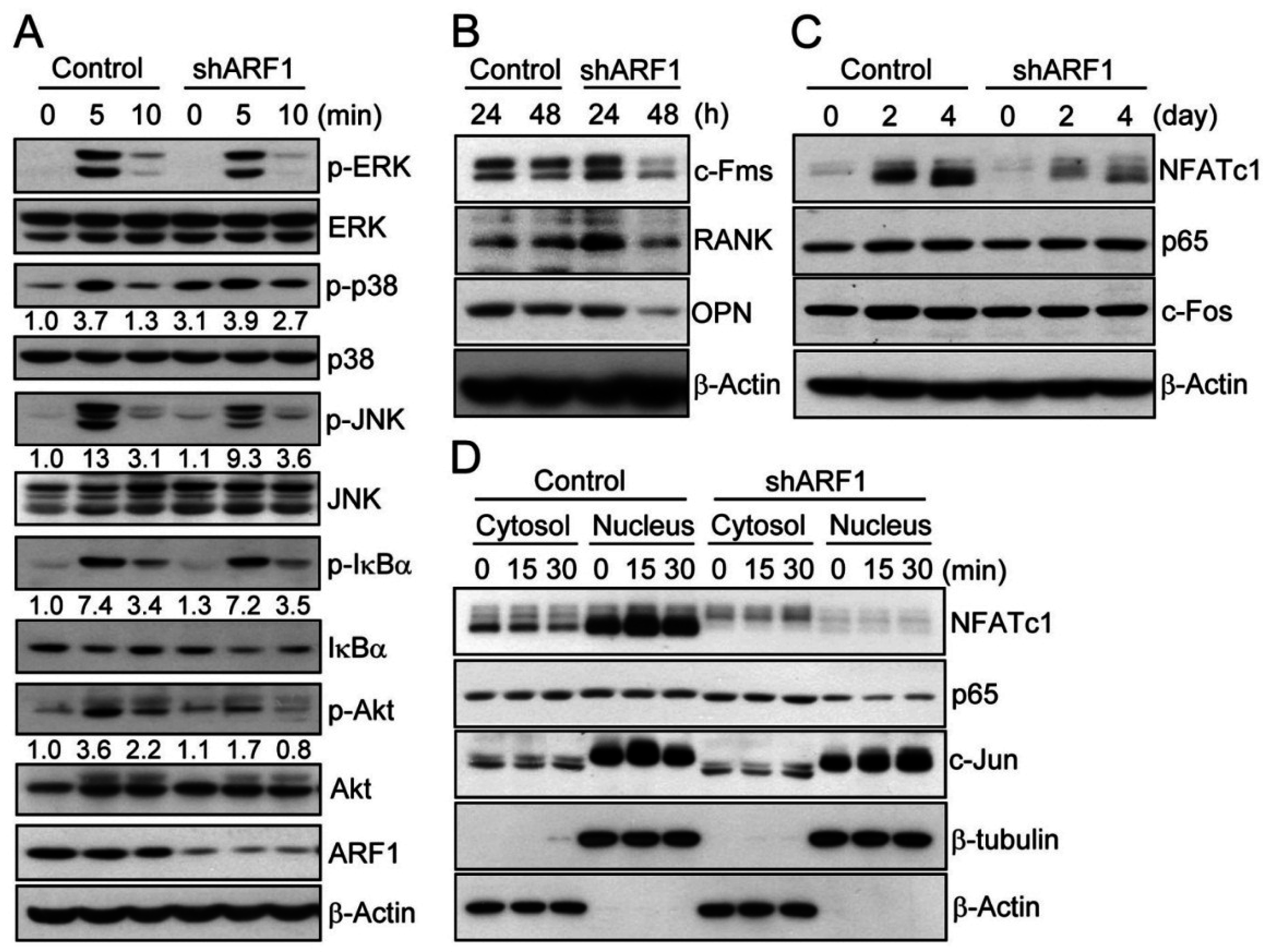 Ijms 16 26168 g004 1024