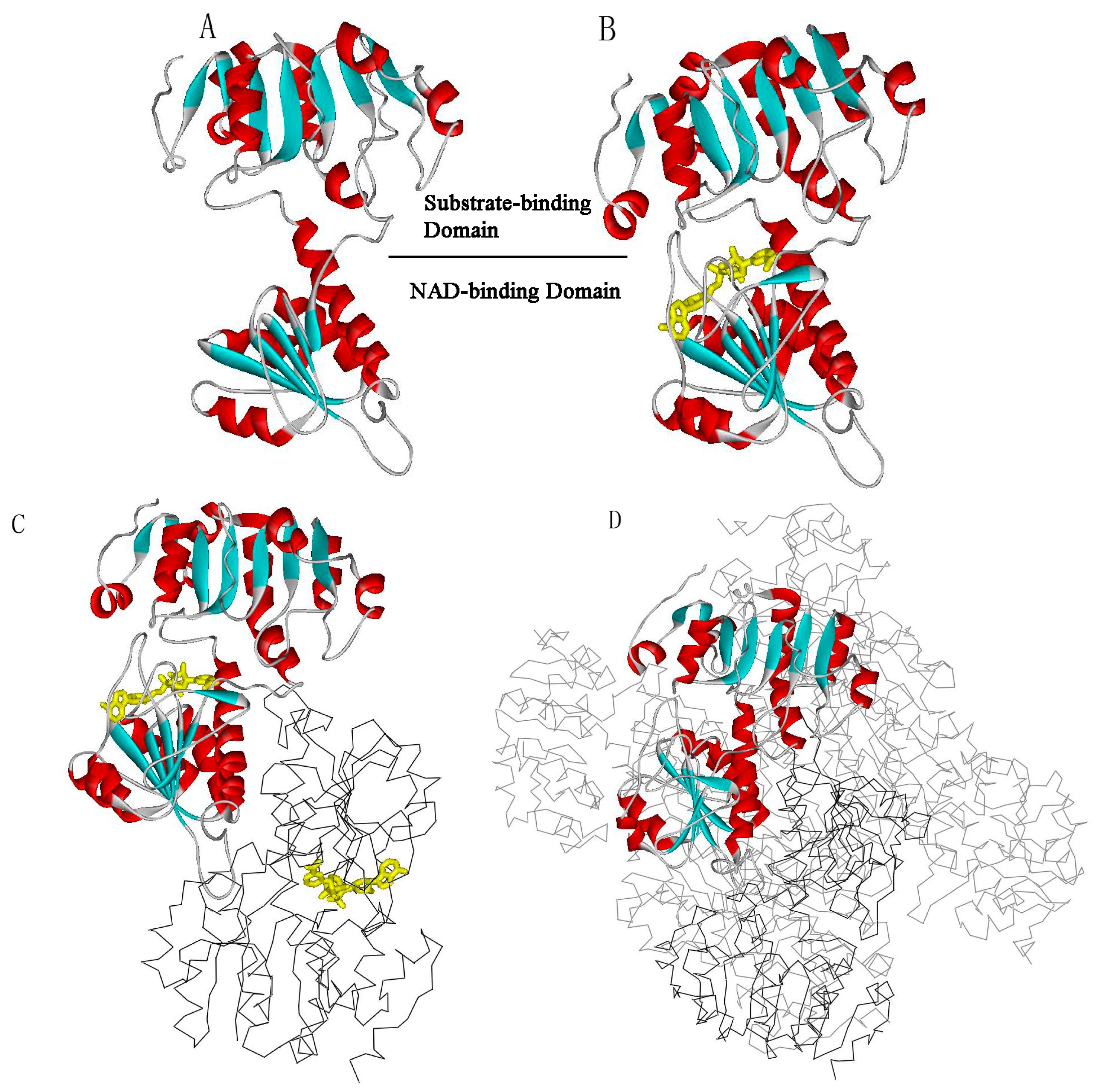 Ijms 16 26170 g001