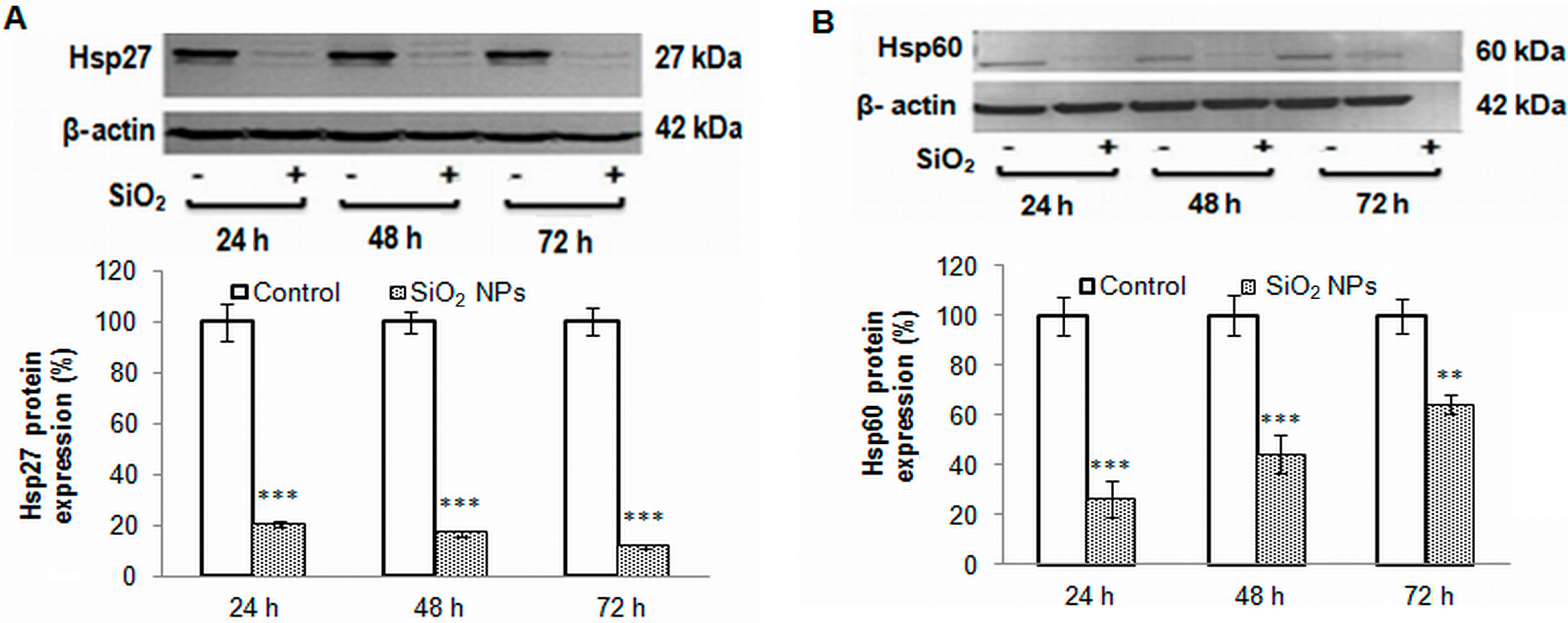 Ijms 16 26171 g006a 1024