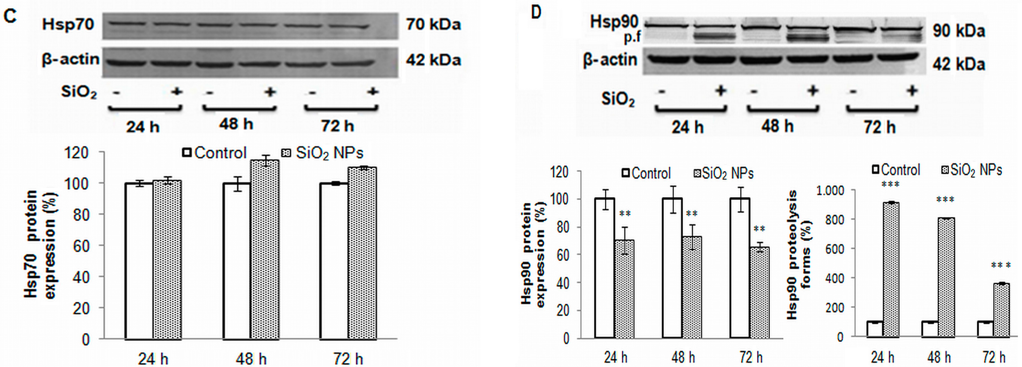 Ijms 16 26171 g006b 1024