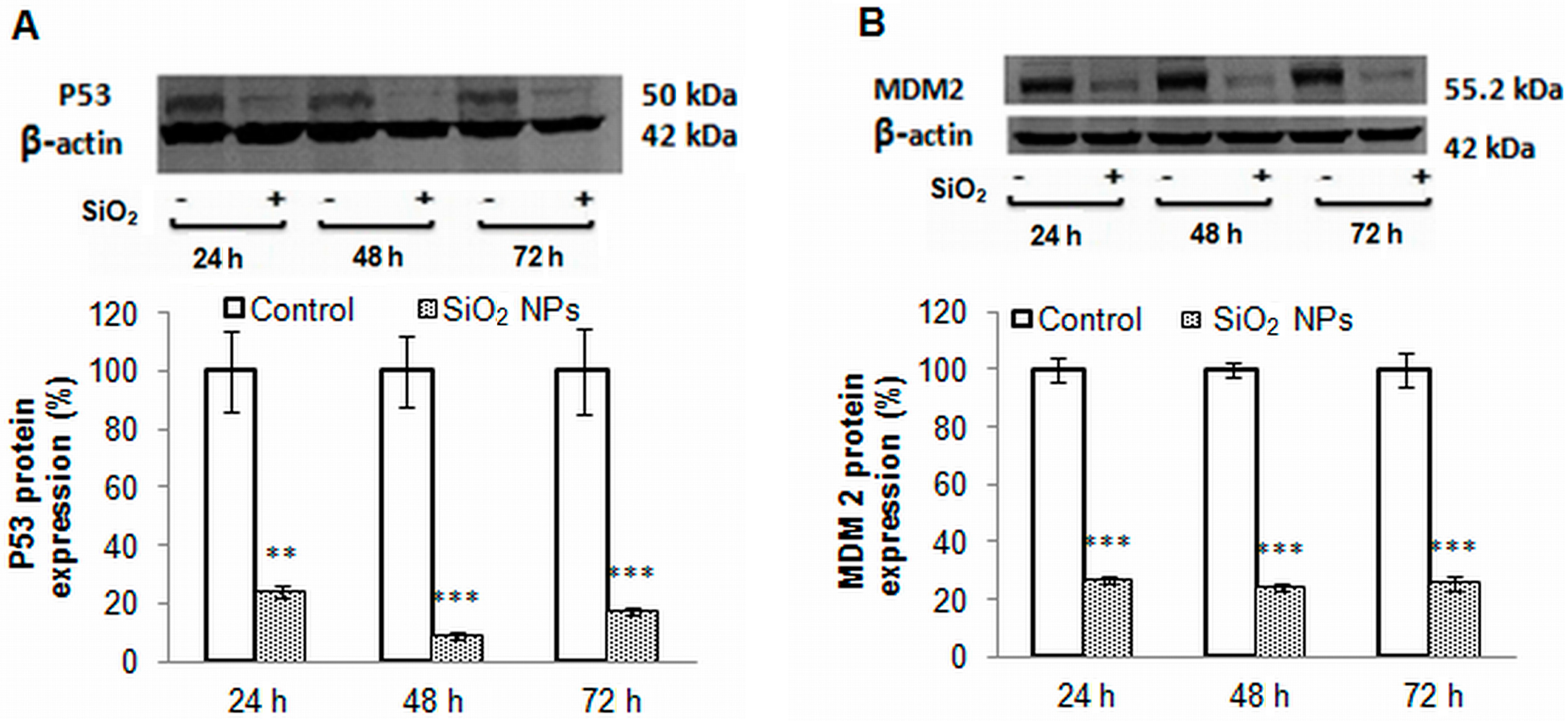 Ijms 16 26171 g007a 1024