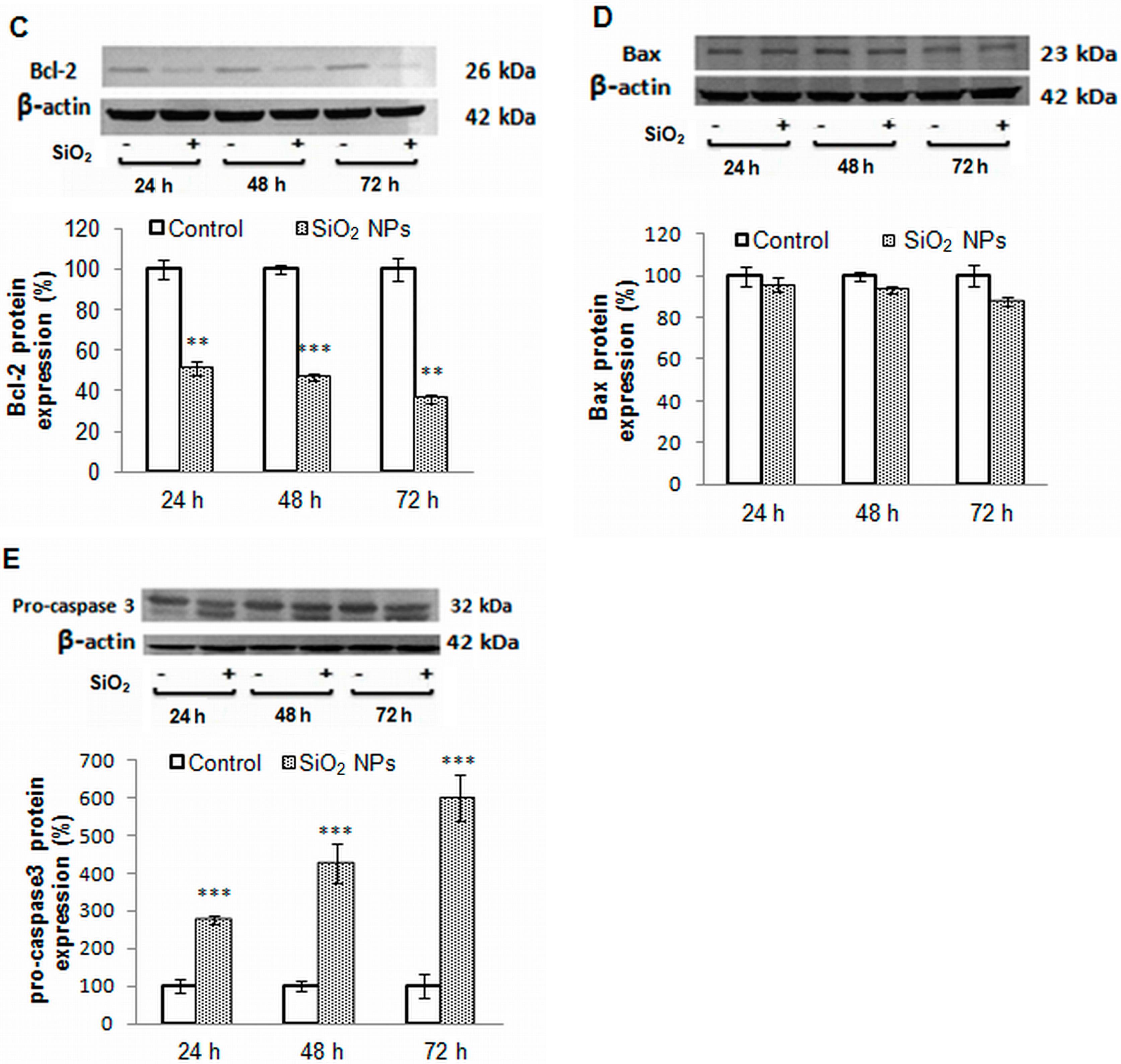 Ijms 16 26171 g007b 1024