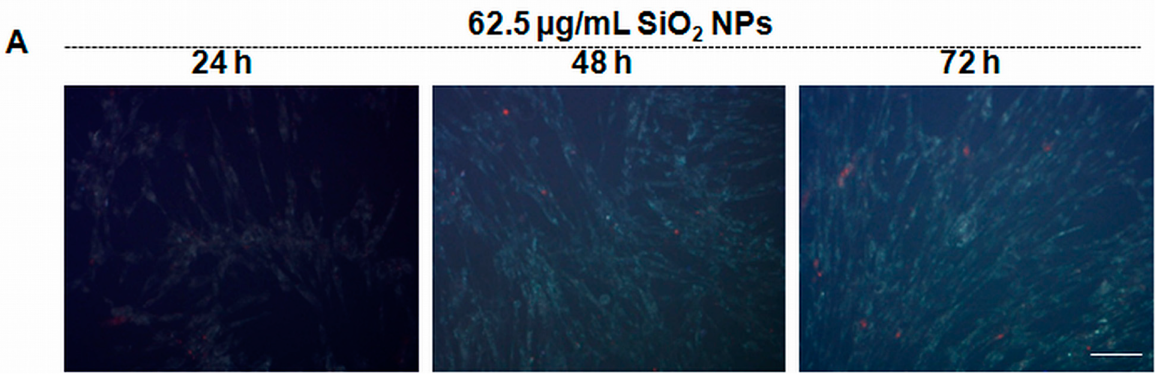 Ijms 16 26171 g008a 1024