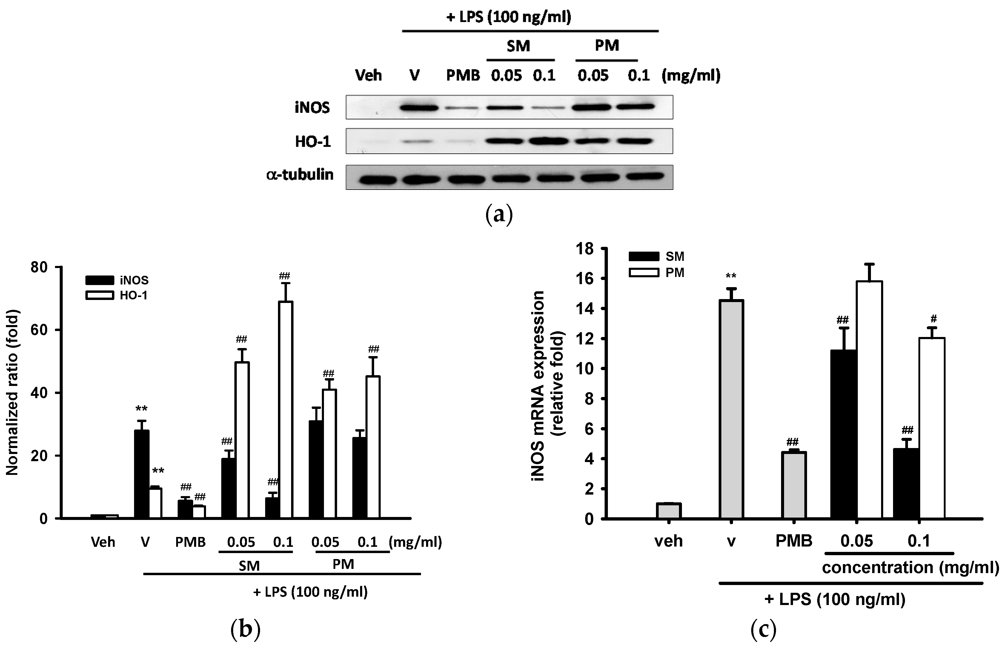 Ijms 16 26184 g004 1024