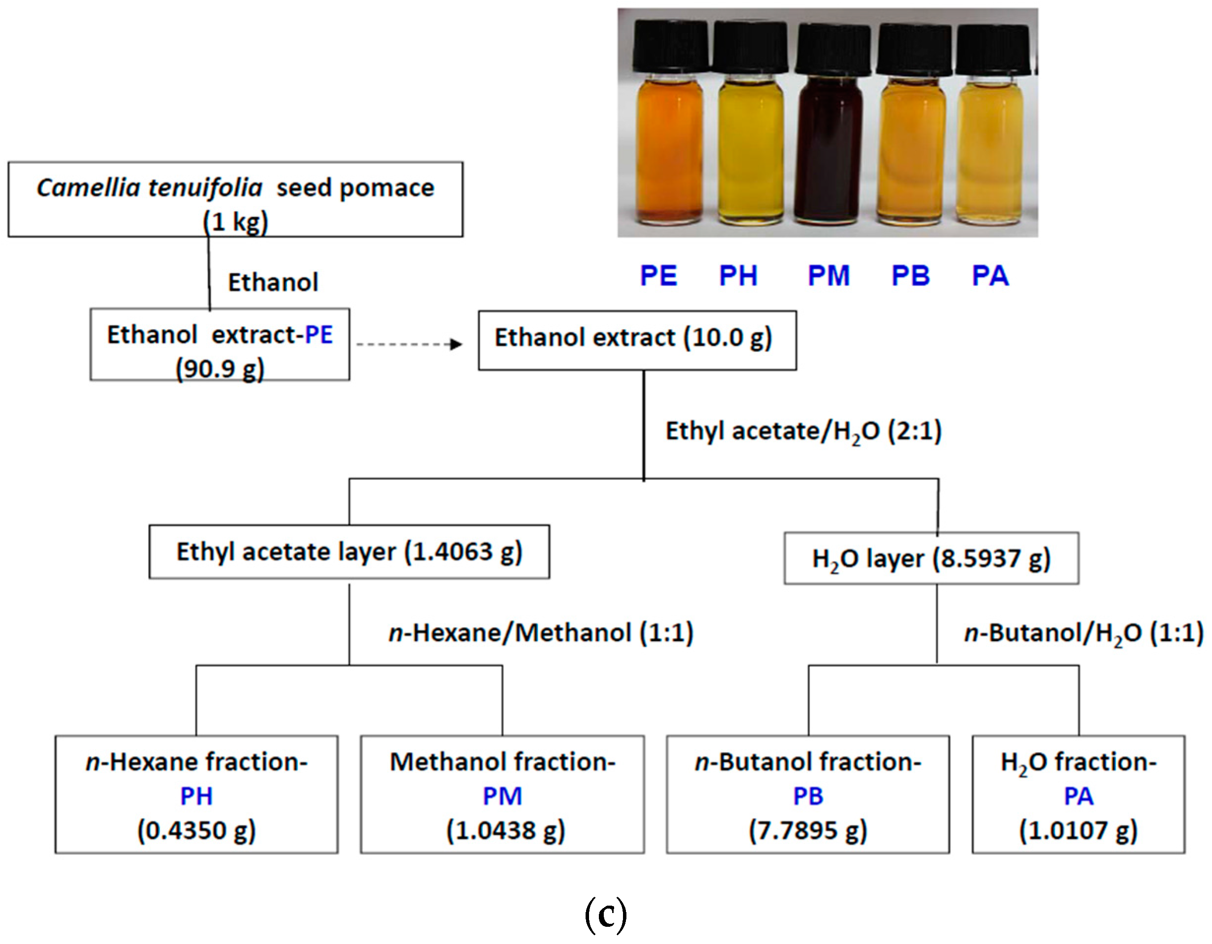 Ijms 16 26184 g008b 1024