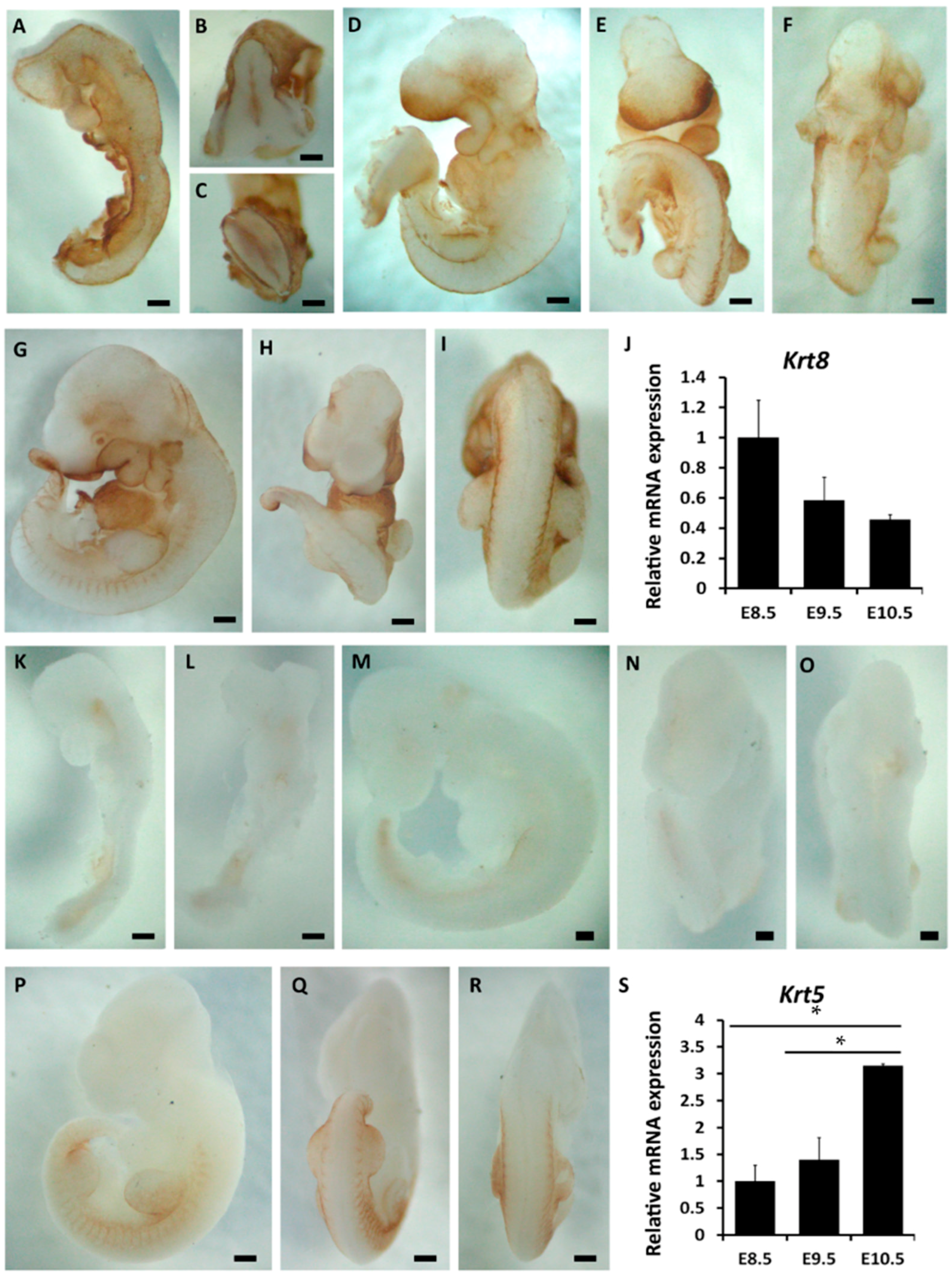Ijms 16 26185 g001