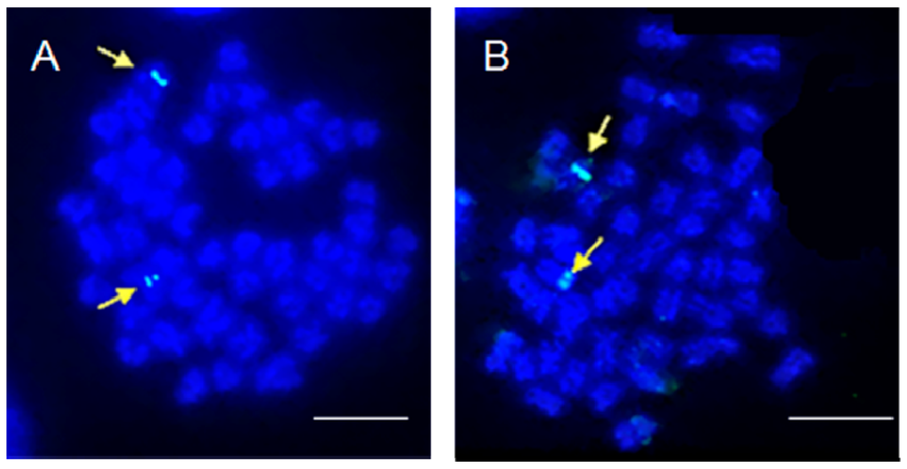 IJMS Special Issue Fish Molecular Biology