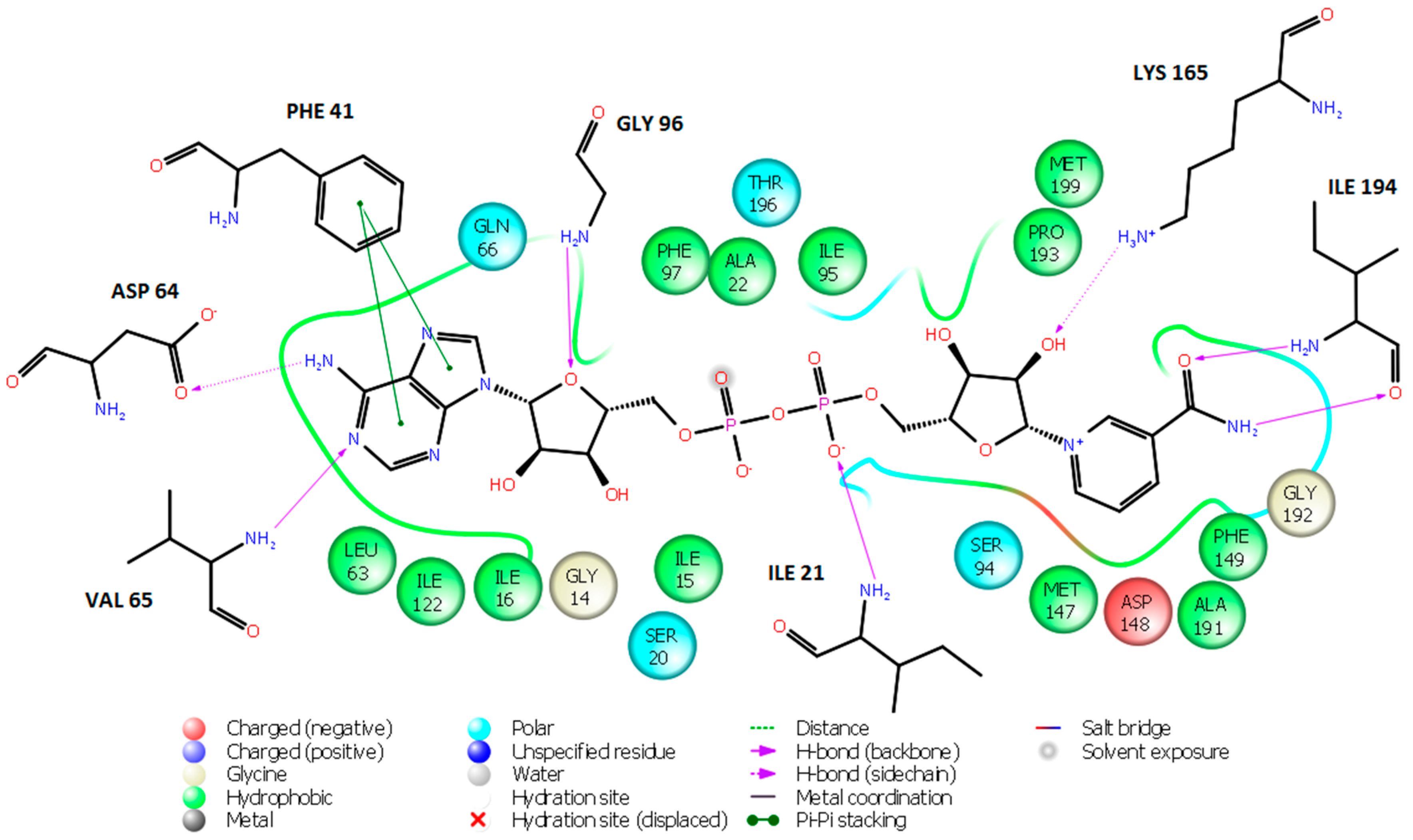 Ijms 16 26196 g003 1024