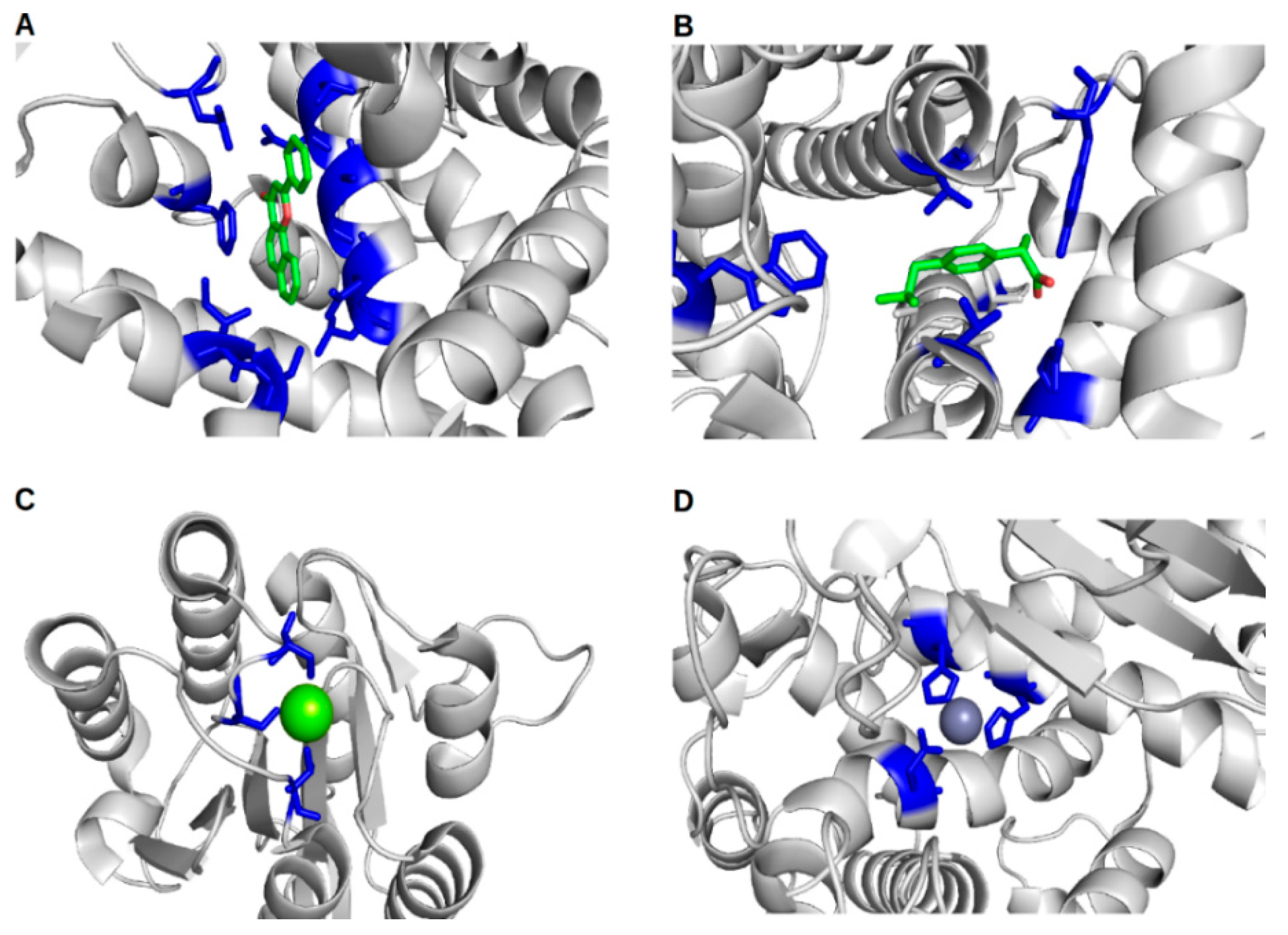 Ijms Free Full Text Proteins And Their Interacting Partners An Introduction To Protein Ligand Binding Site Prediction Methods Html