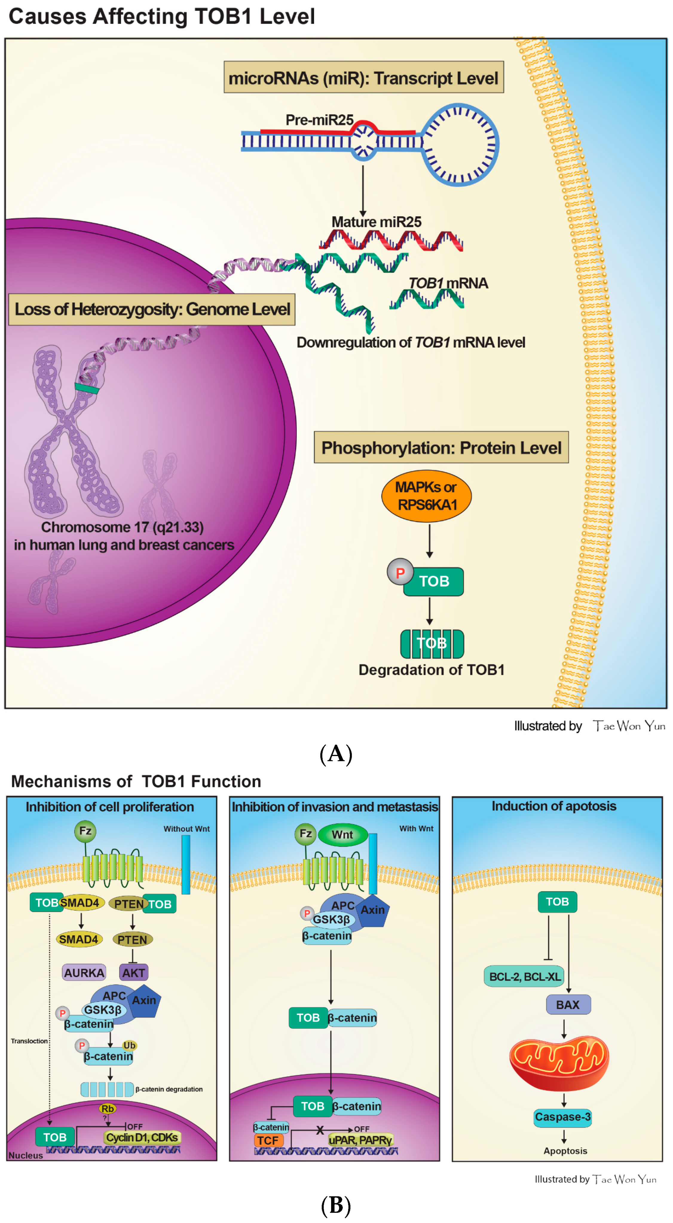 Ijms 16 26203 g002 1024
