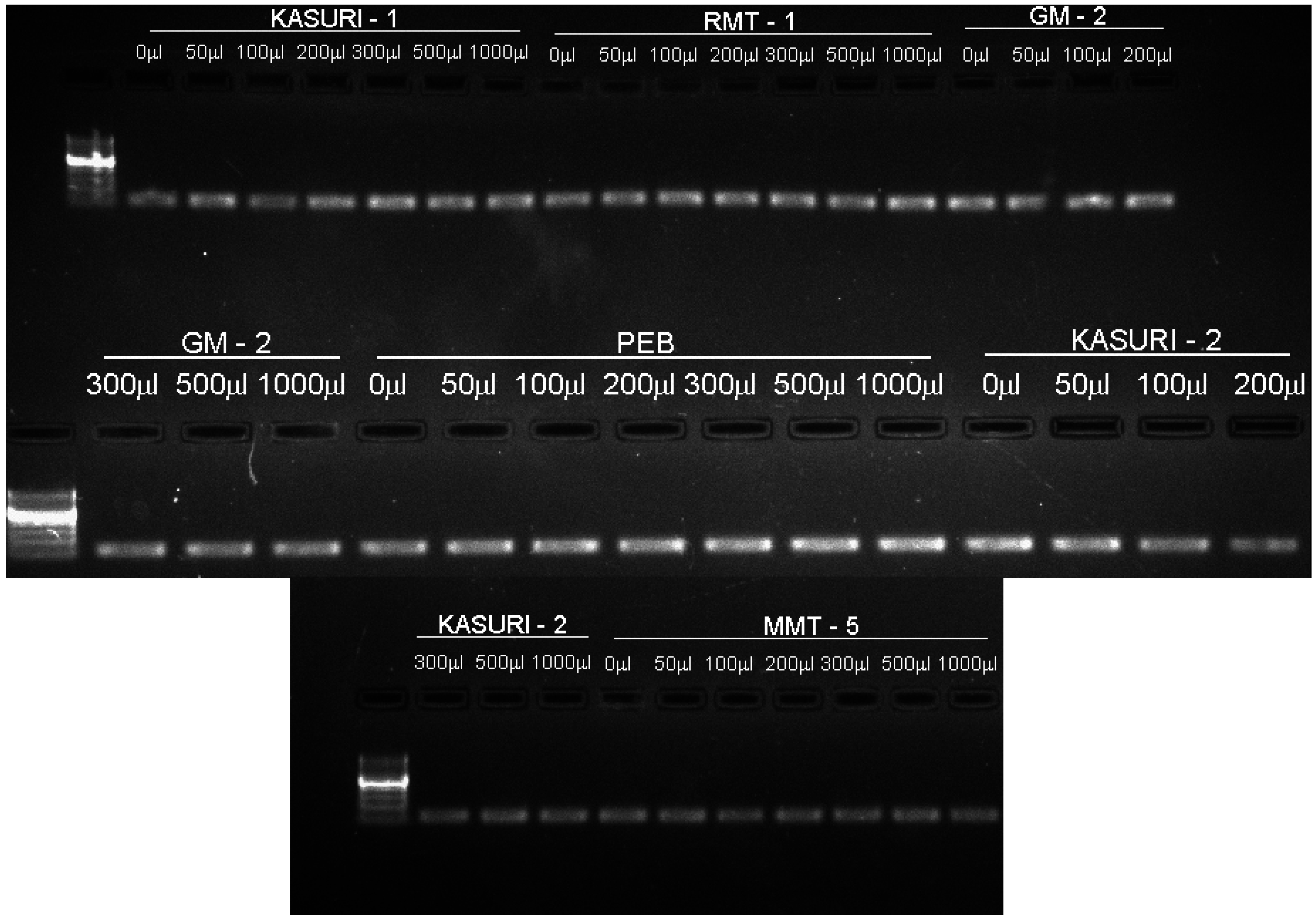Ijms 16 26208 g001