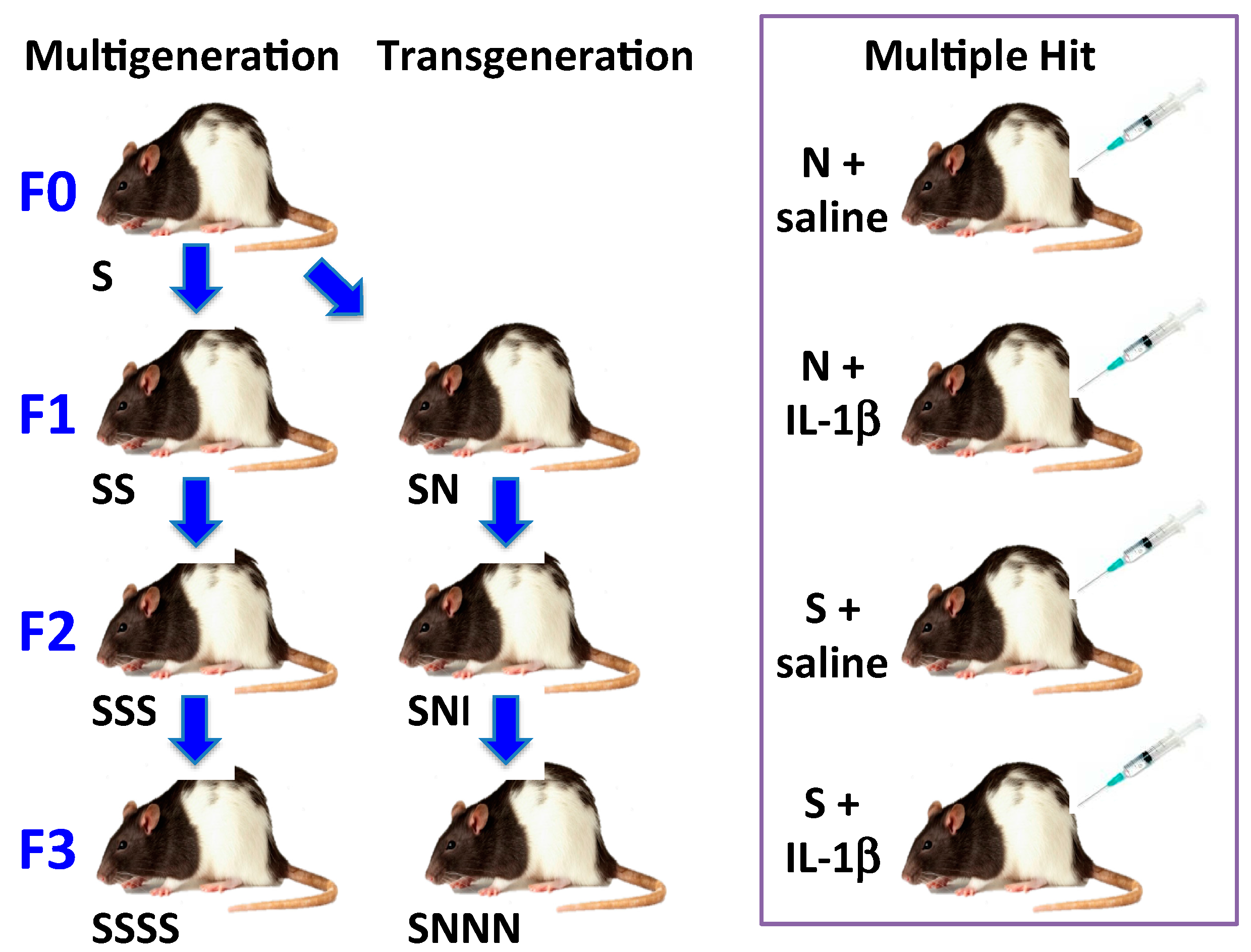 Ijms 16 26209 g002