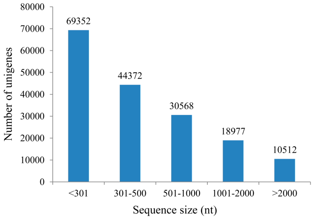 レビュー高評価アイテム特集｜ファッション通販 Comparative Transcriptome Analysis of Genes Involved in GA 舞台/ミュージカル