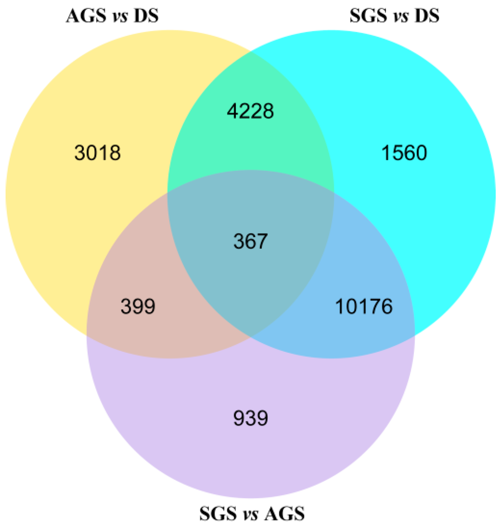 union issue N°16 Double Spin with a Twist: Synthesis and Characterization of